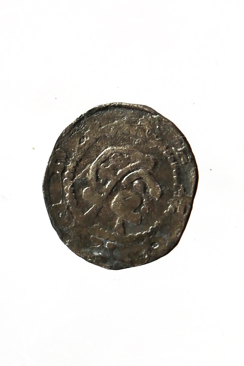 Foto van penning/penny