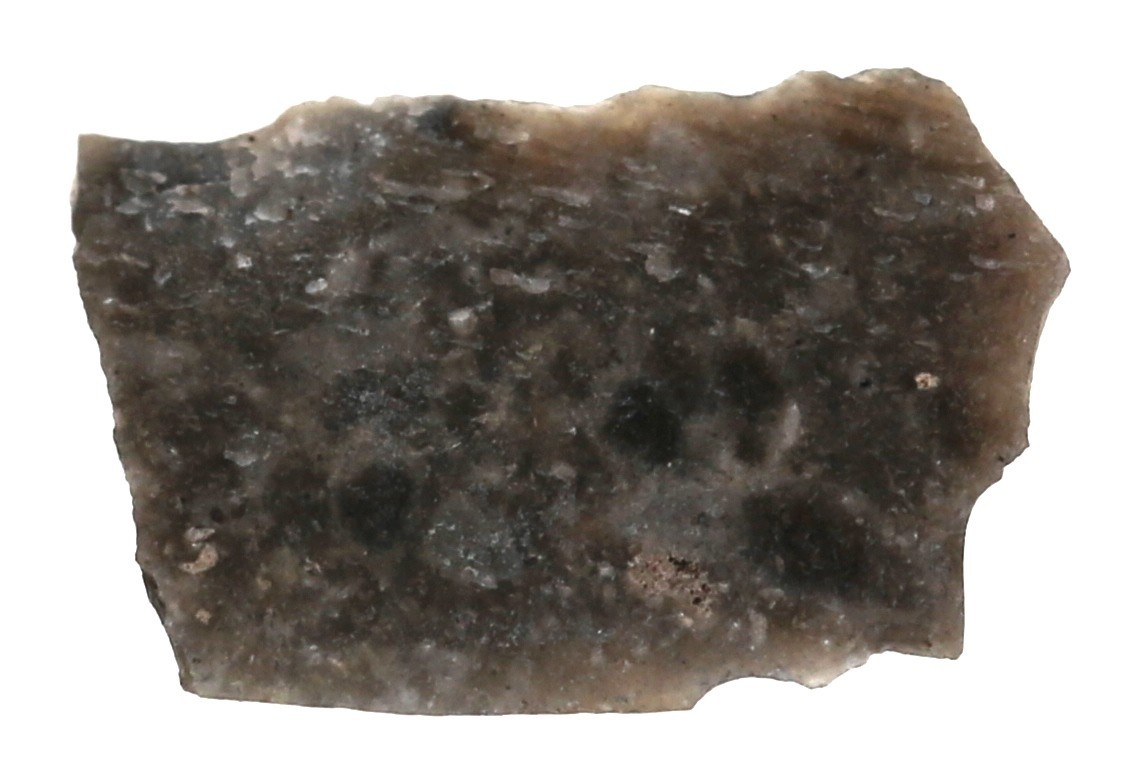 Nog een foto van  Spits