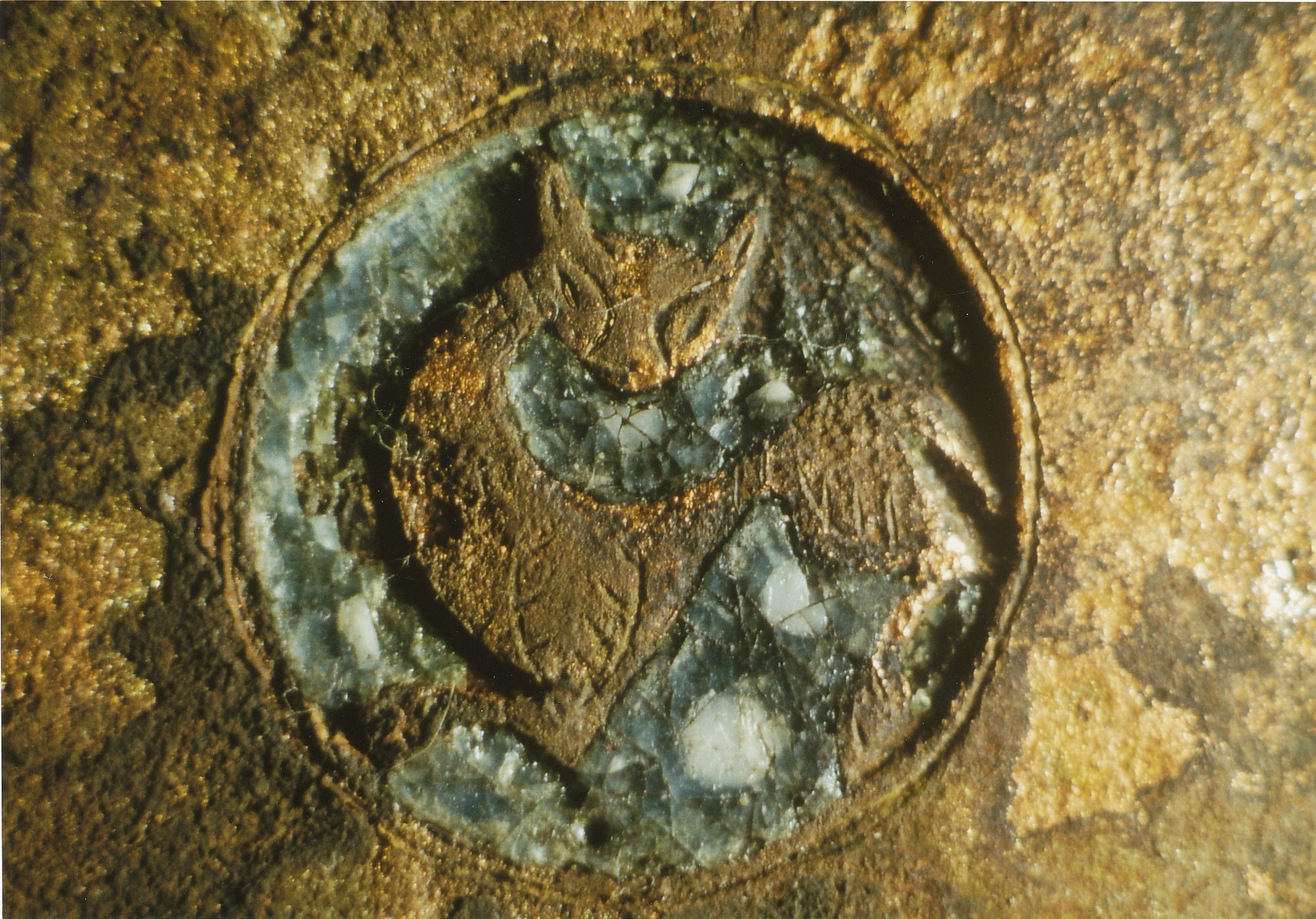 Nog een foto van  beslag