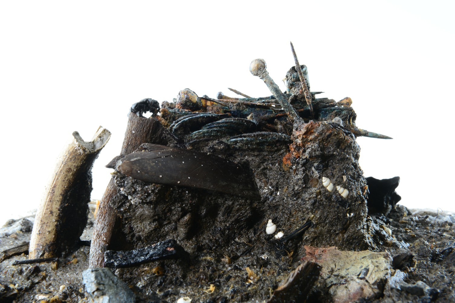 Nog een foto van  Pincet