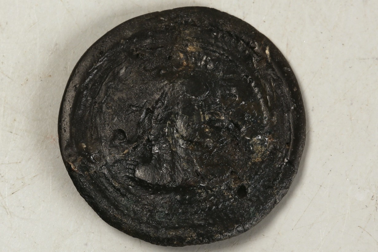 Nog een foto van  Schijffibula