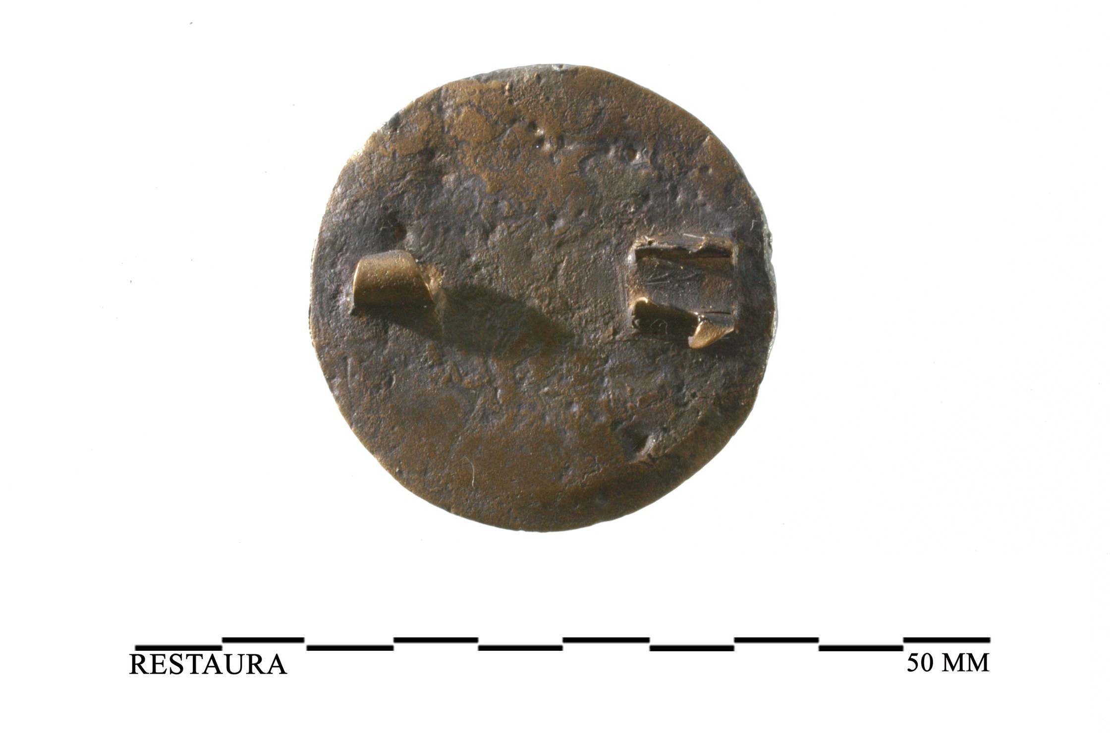 Nog een foto van  Schijffibula