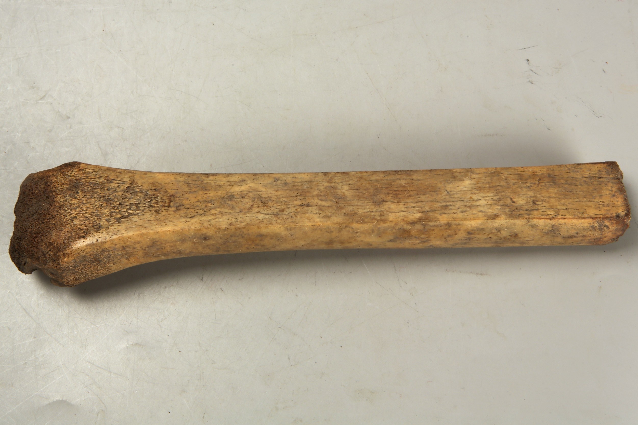 Nog een foto van  glis