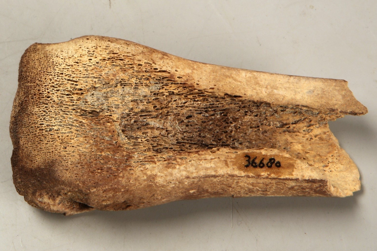 Nog een foto van  glis