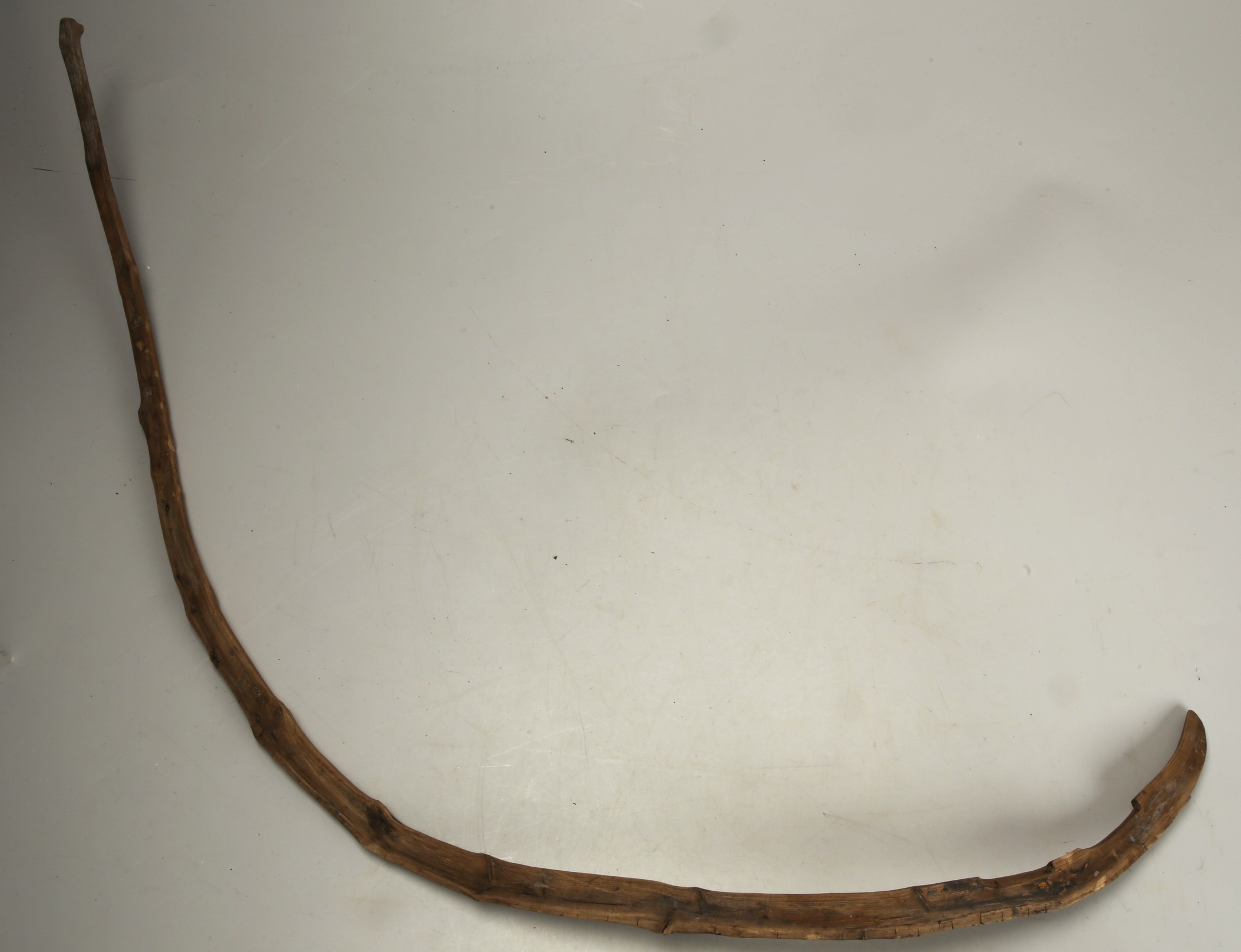 Nog een foto van  duig/hoepel