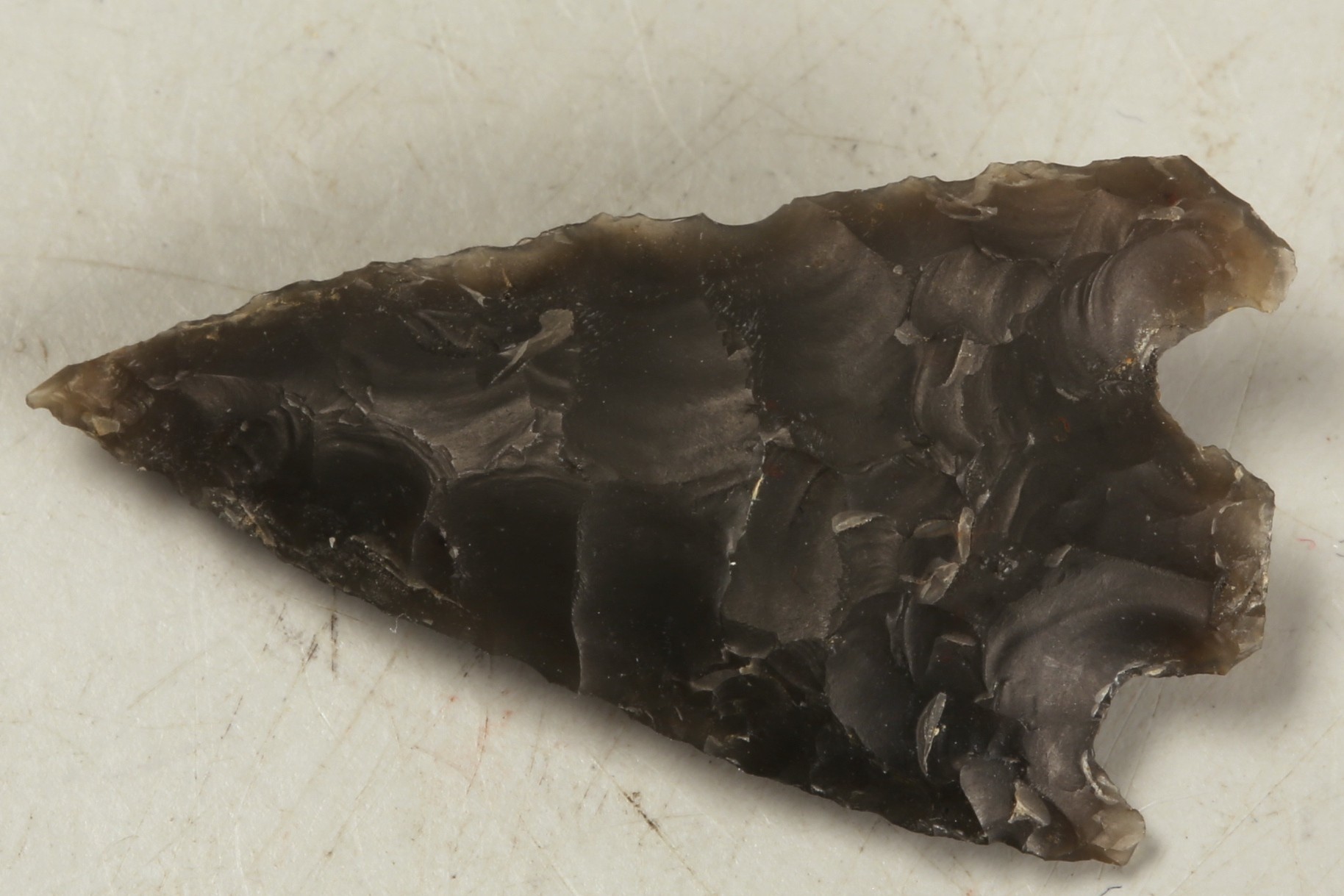 Nog een foto van  Spits