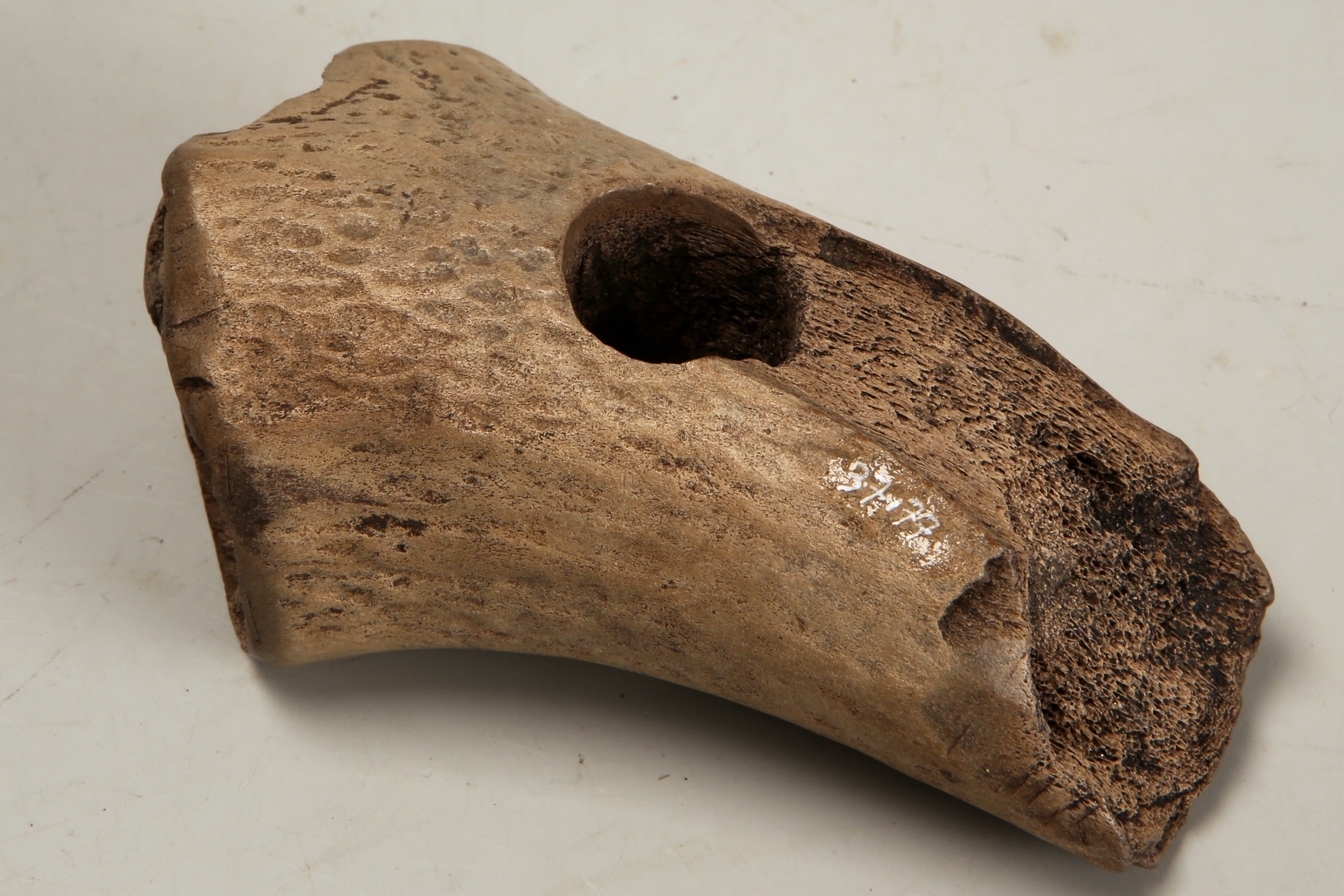 Nog een foto van  Bijl