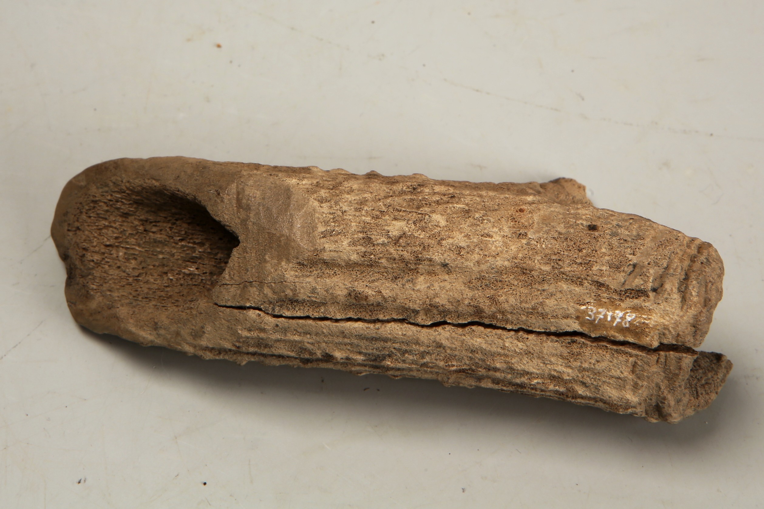 Nog een foto van  Bijl