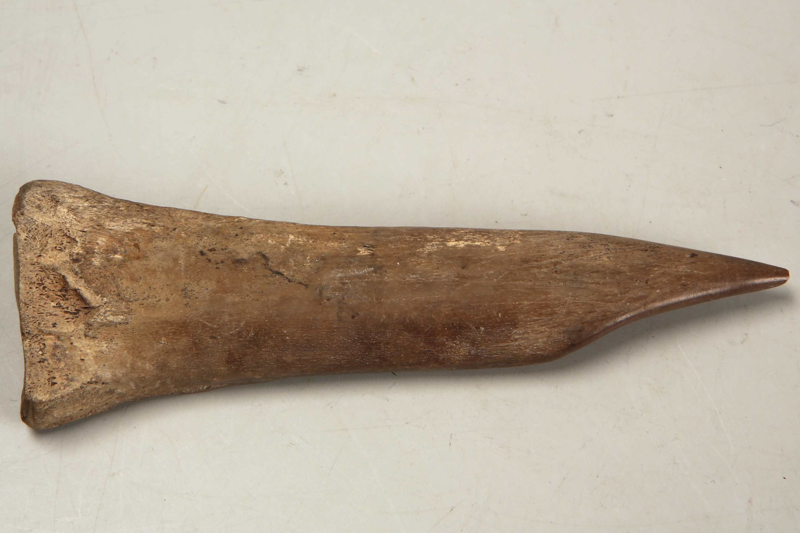 Nog een foto van  Priem/els