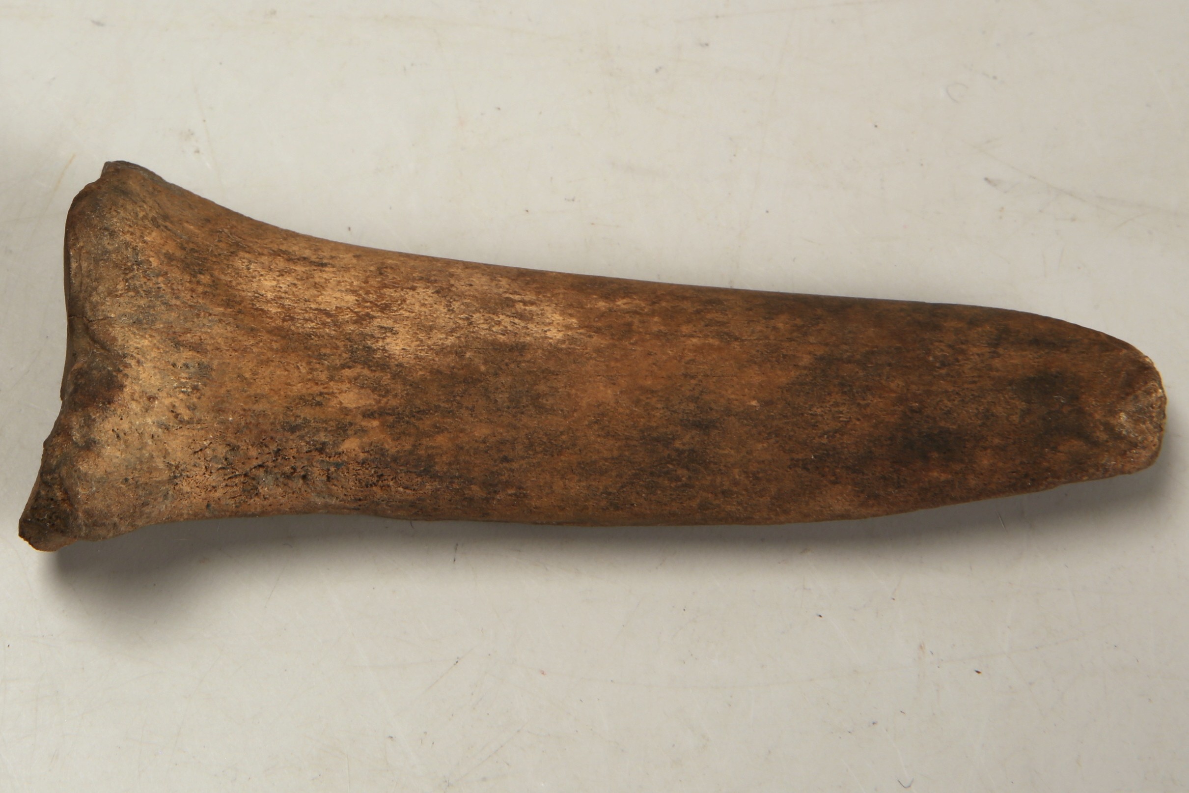 Nog een foto van  Beitel