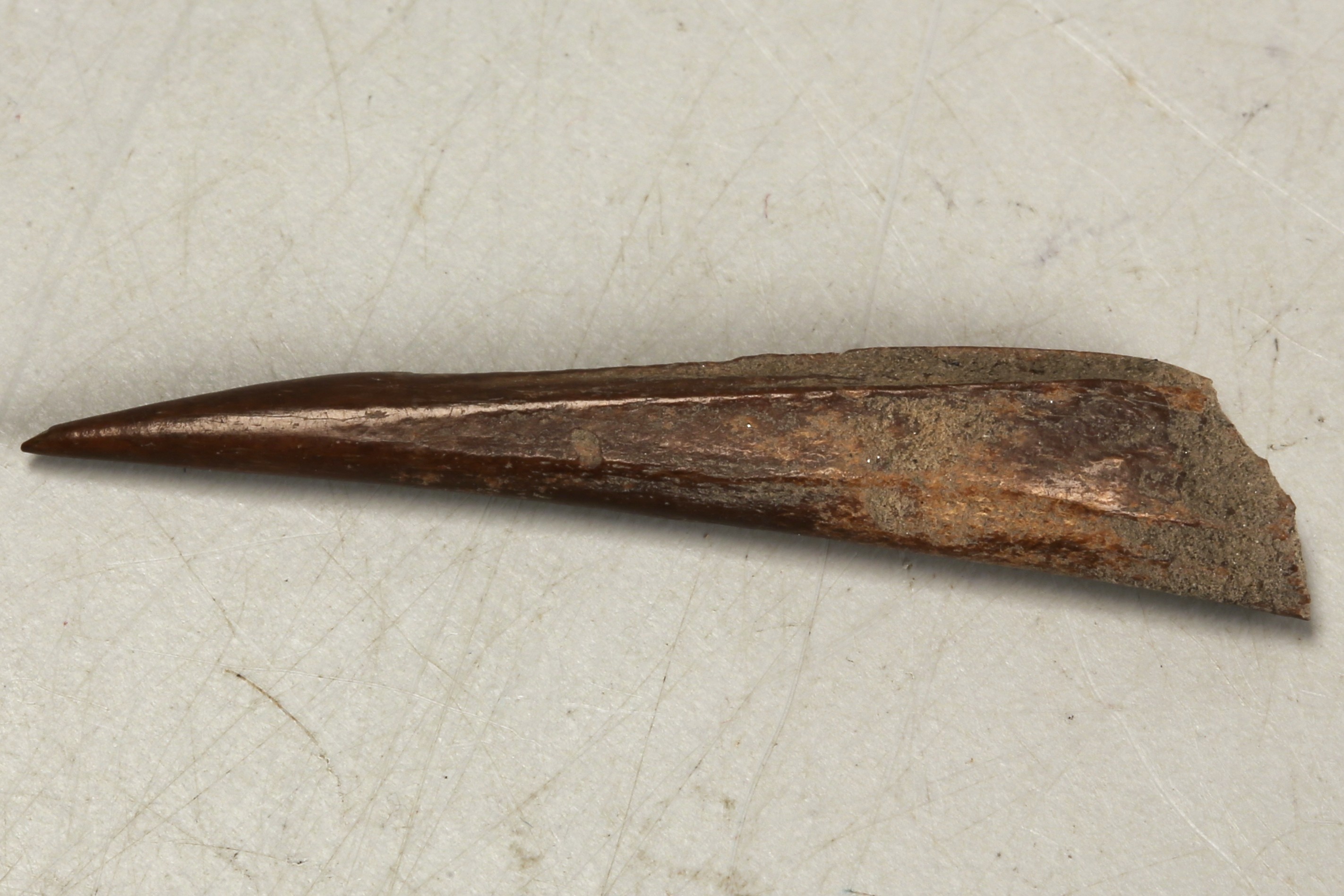 Nog een foto van  Priem/els