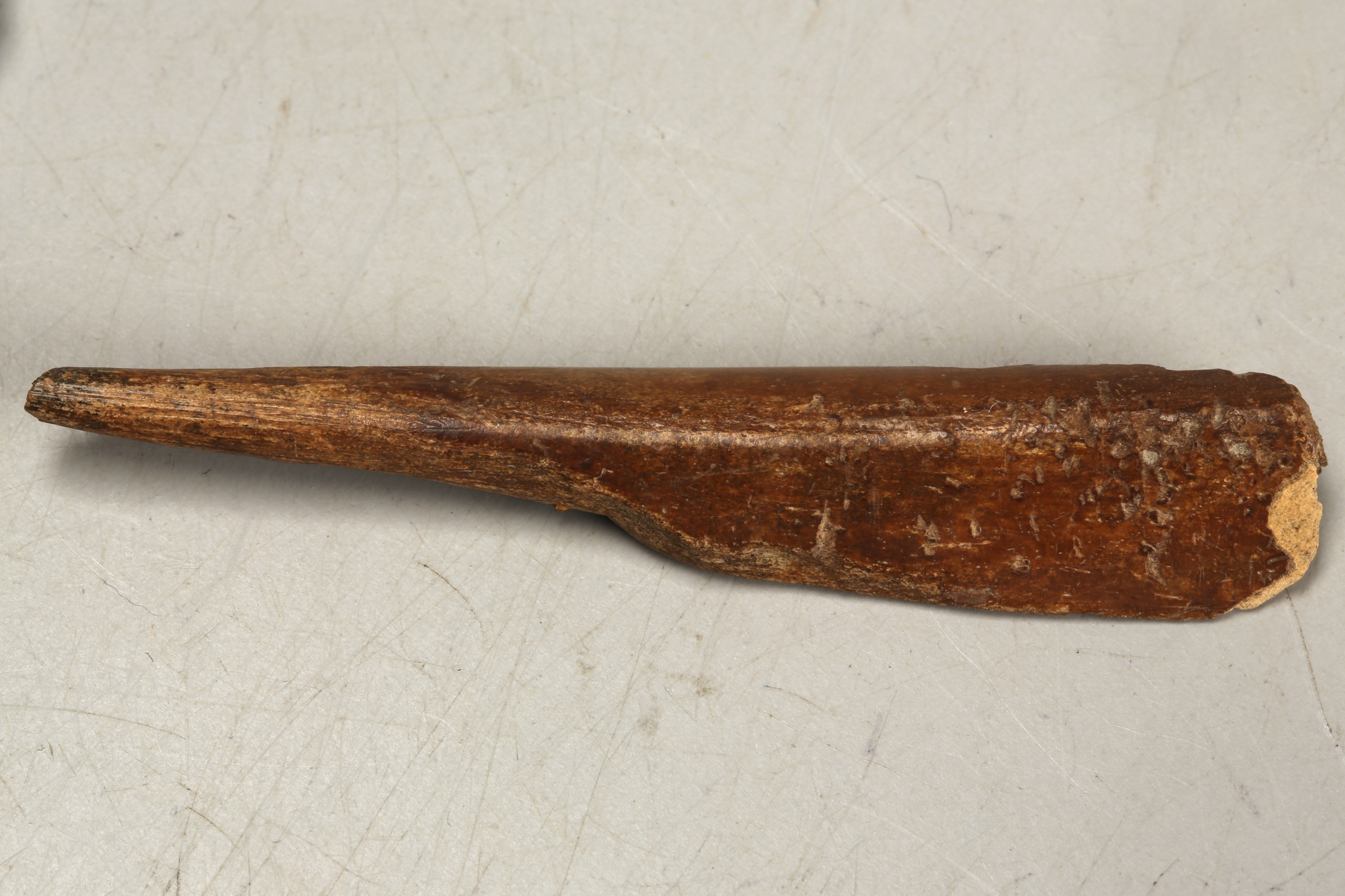 Nog een foto van  Priem/els