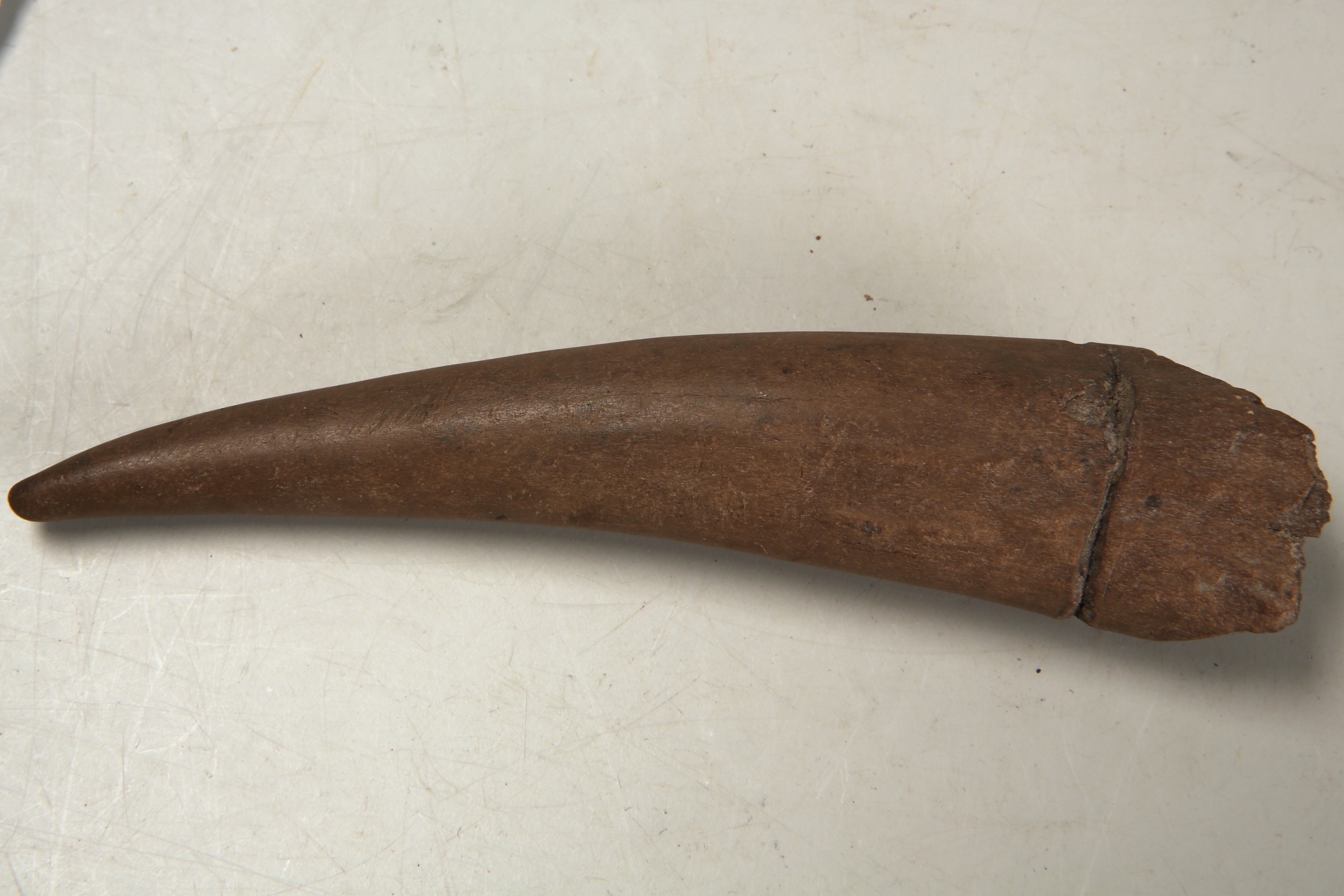 Nog een foto van  Priem/els