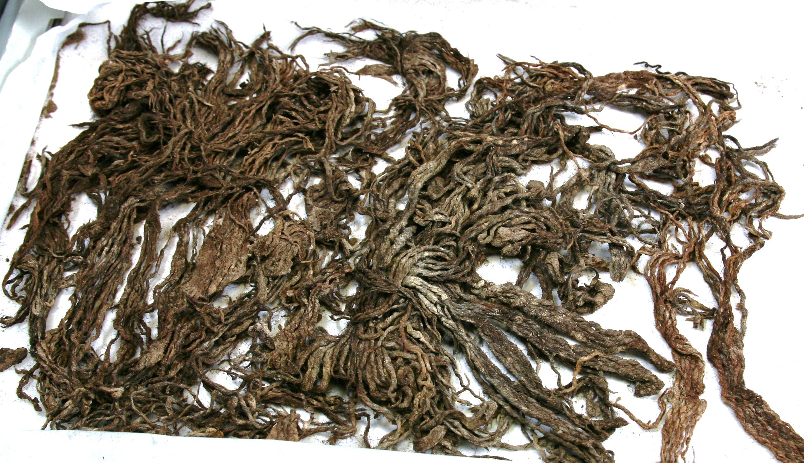 Foto van Textiel:katoen/linnen/wol/zijde