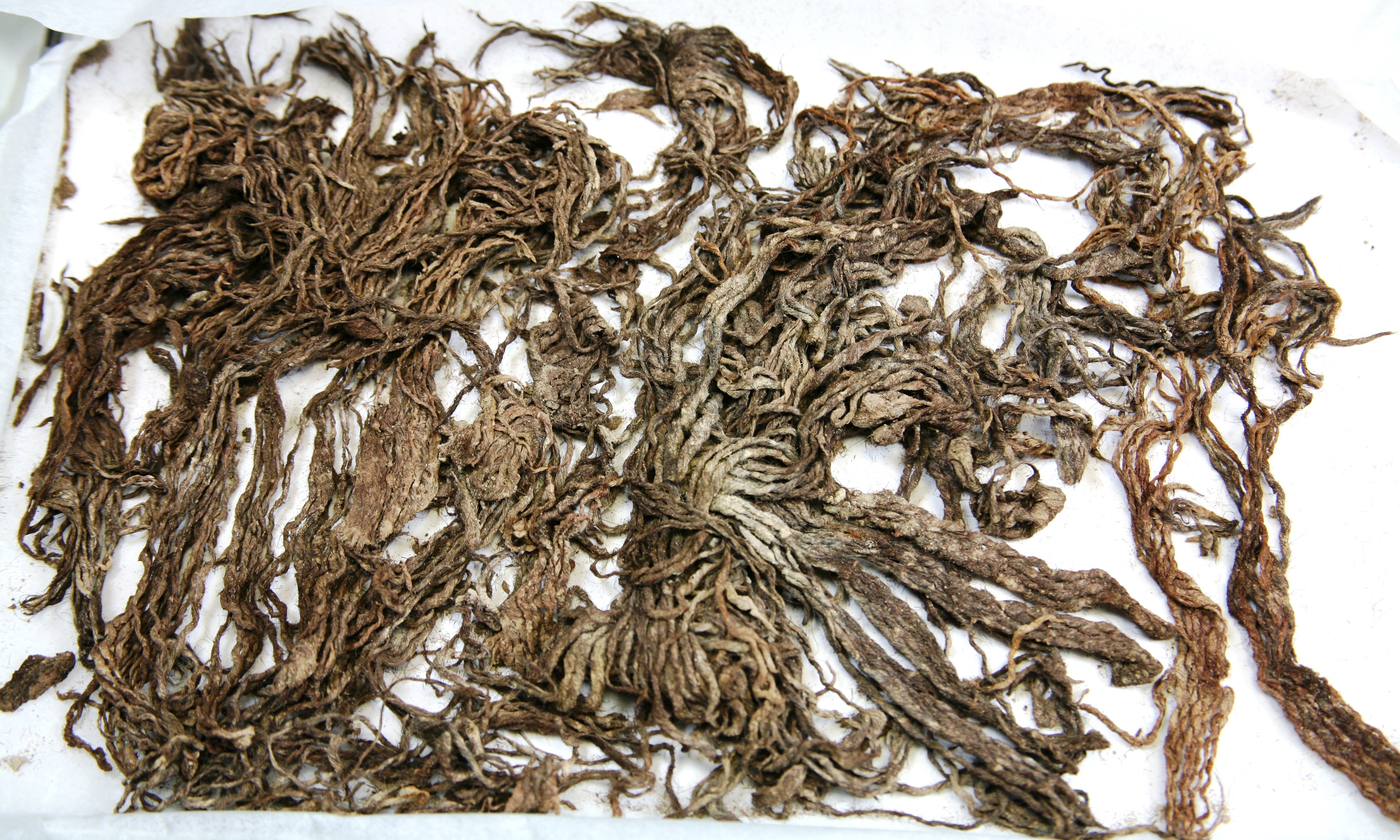 Nog een foto van  Textiel:katoen/linnen/wol/zijde