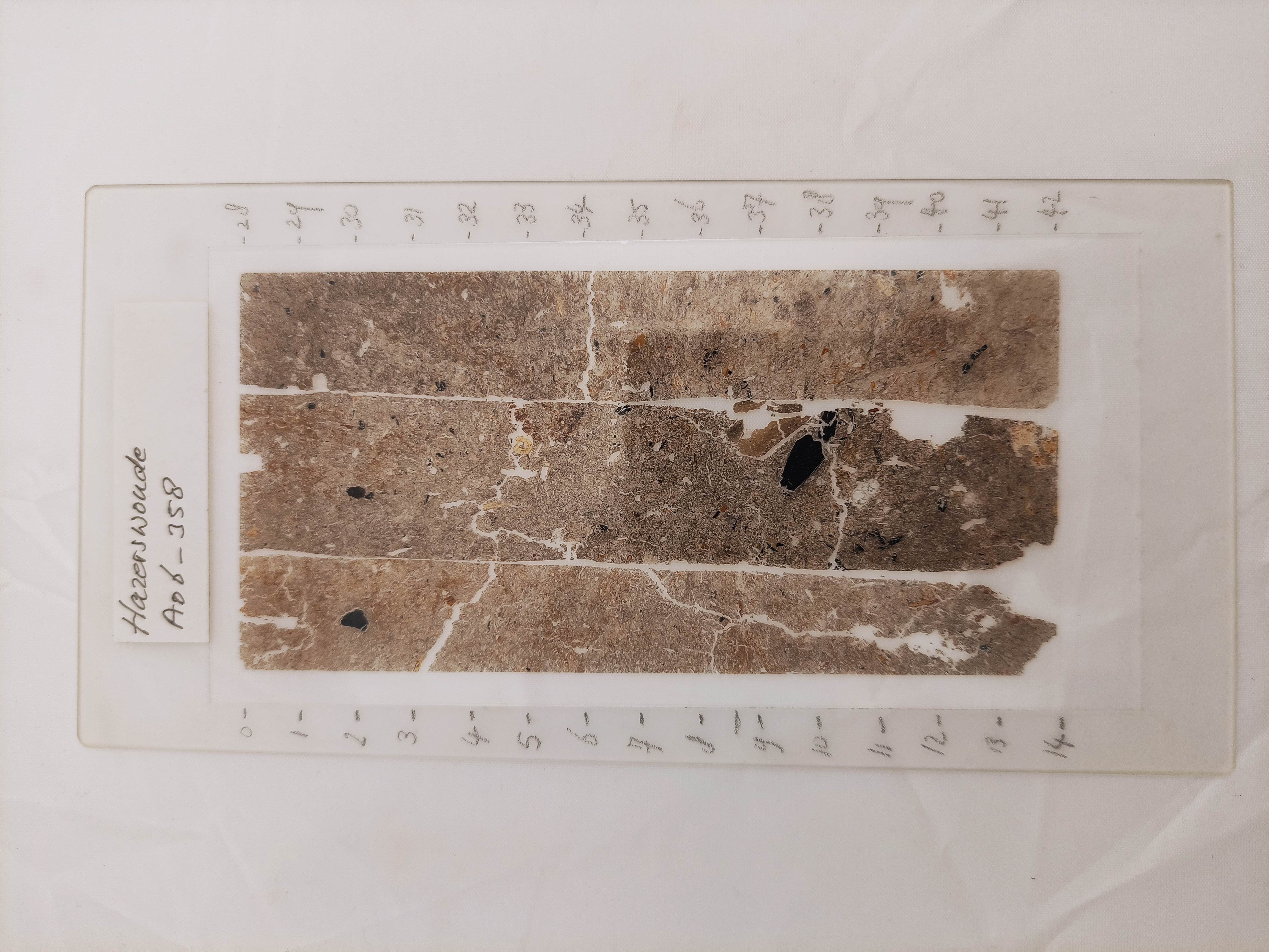 Foto van Organisch plantaardig