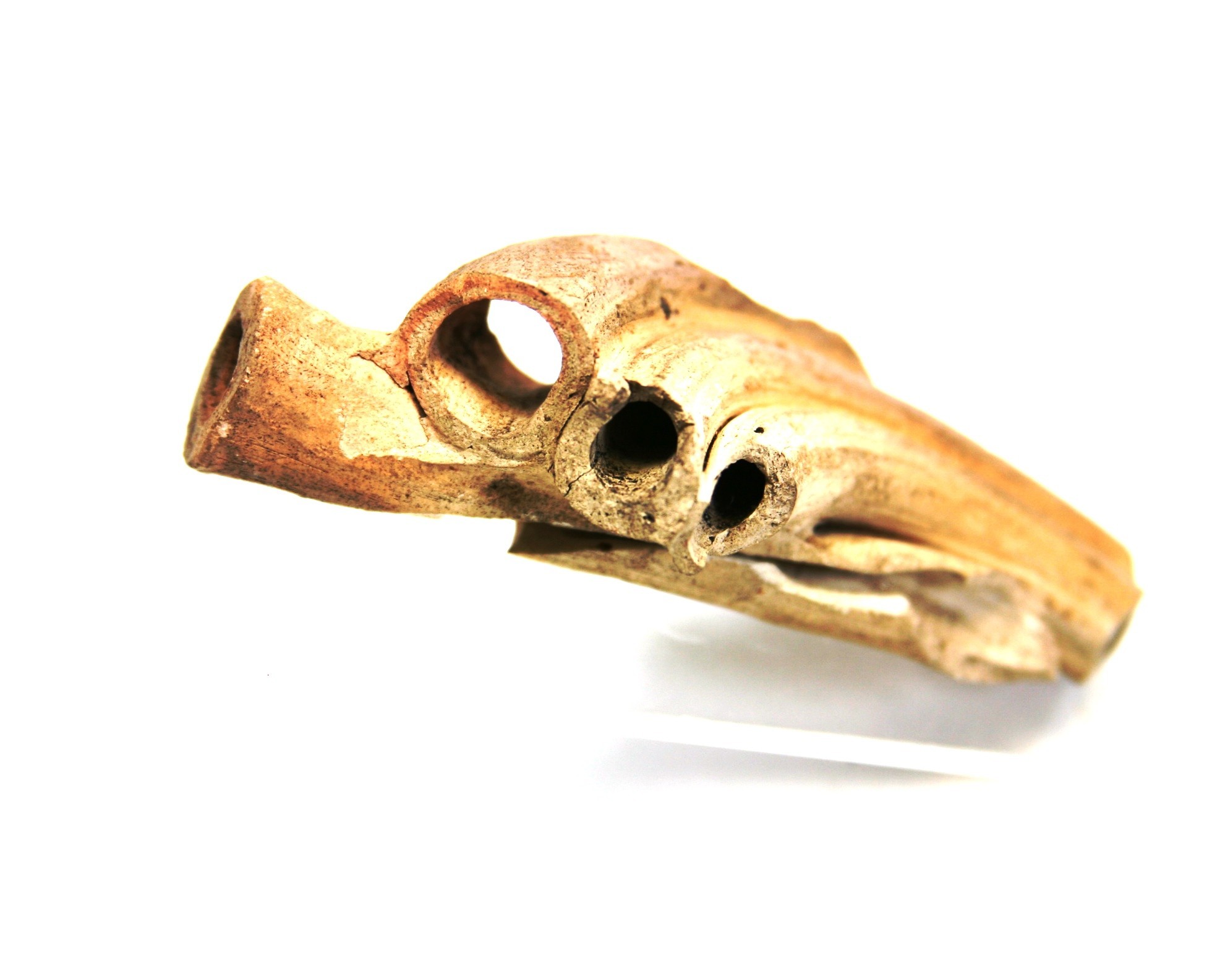 Nog een foto van  hoorn