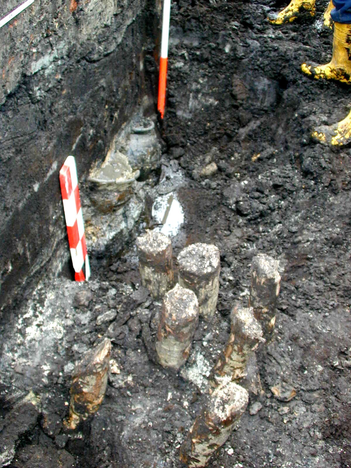 Nog een foto van  Kogelpot