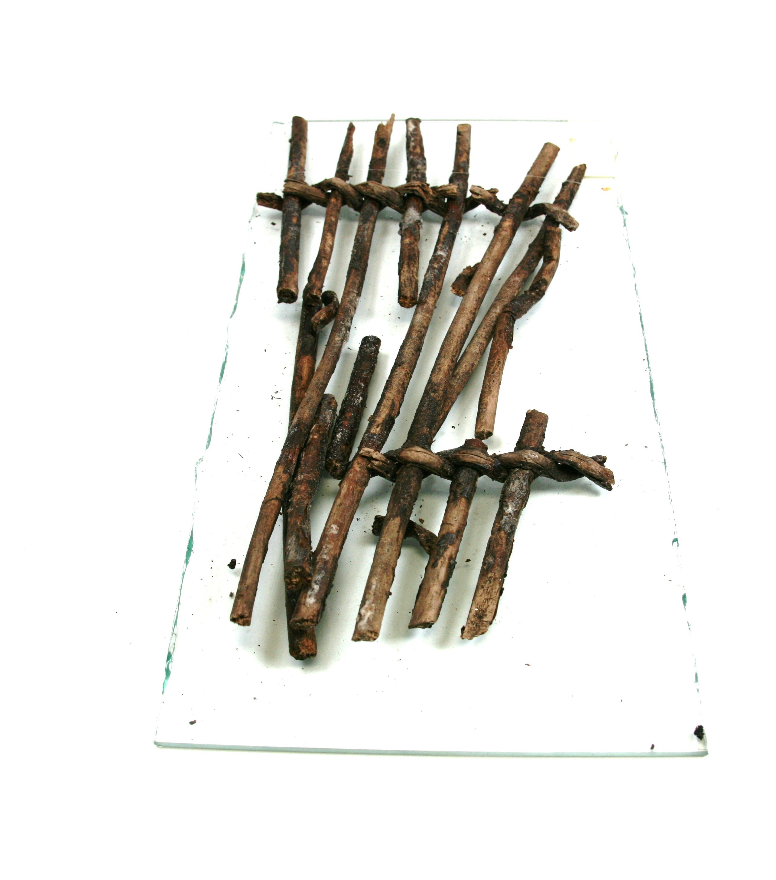 Nog een foto van  Visfuik