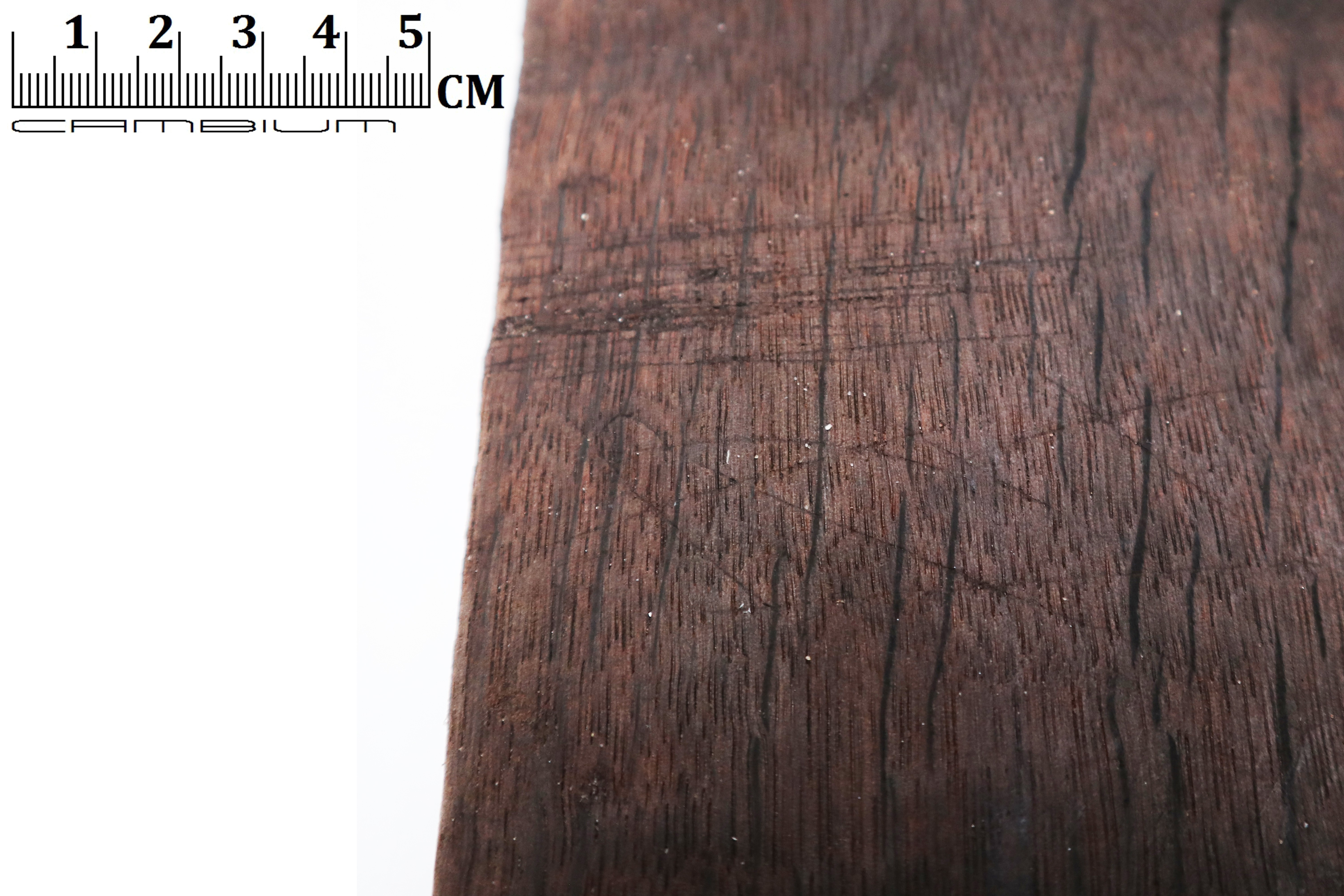 Nog een foto van  duig/hoepel