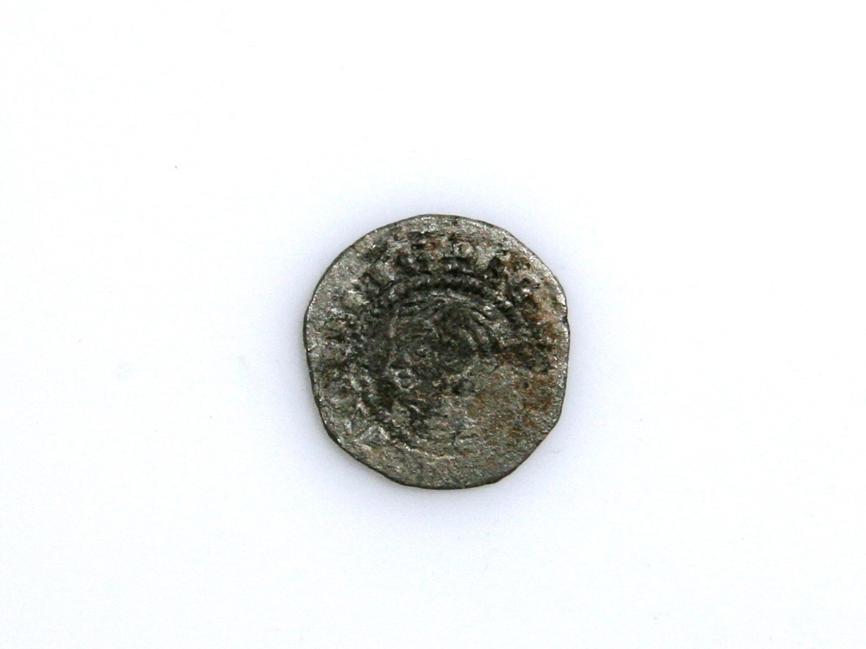 Foto van penning/penny