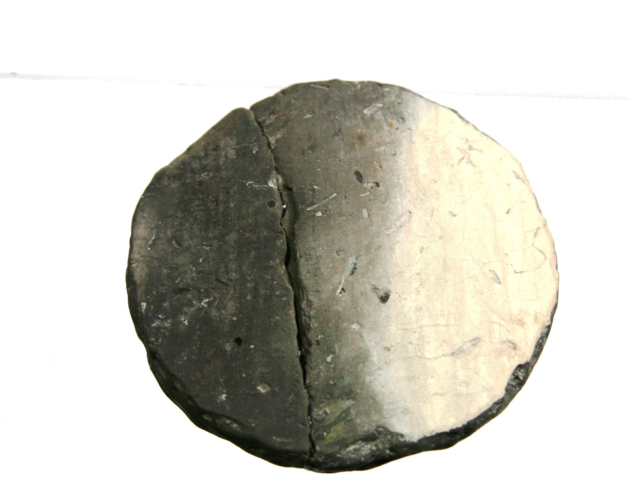 Foto van speelschijf/speelsteen