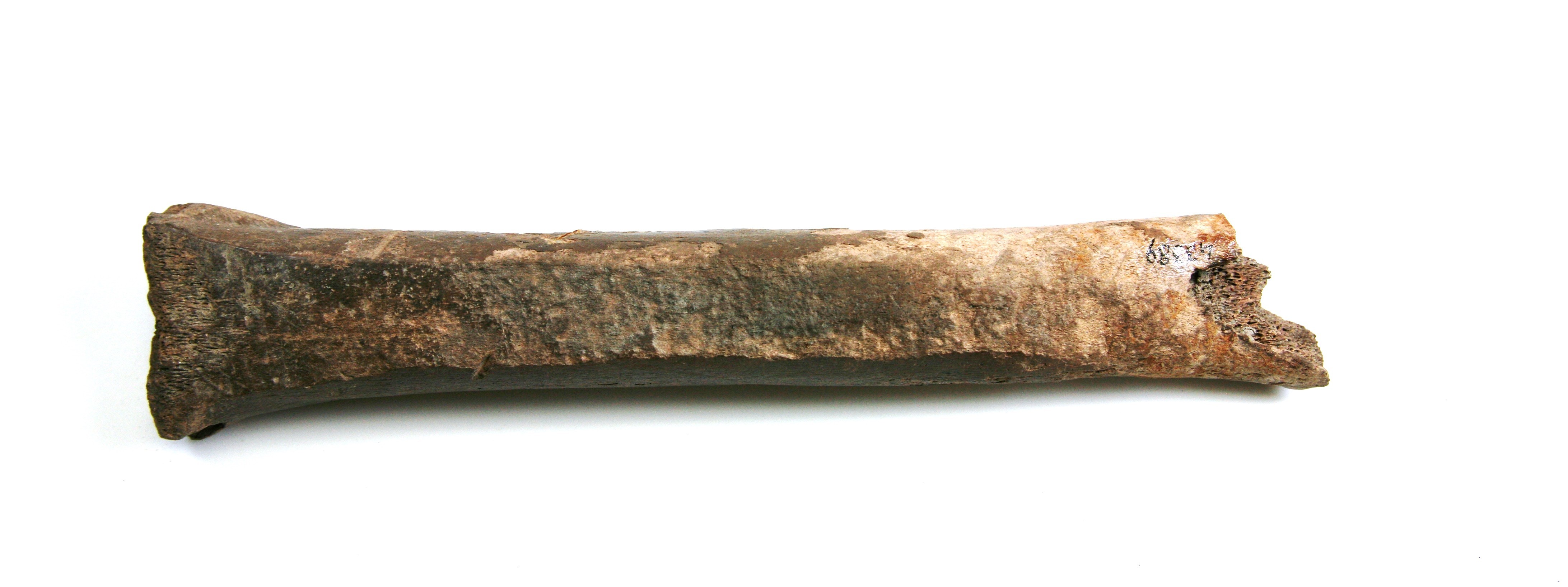 Nog een foto van  Halffabrikaat