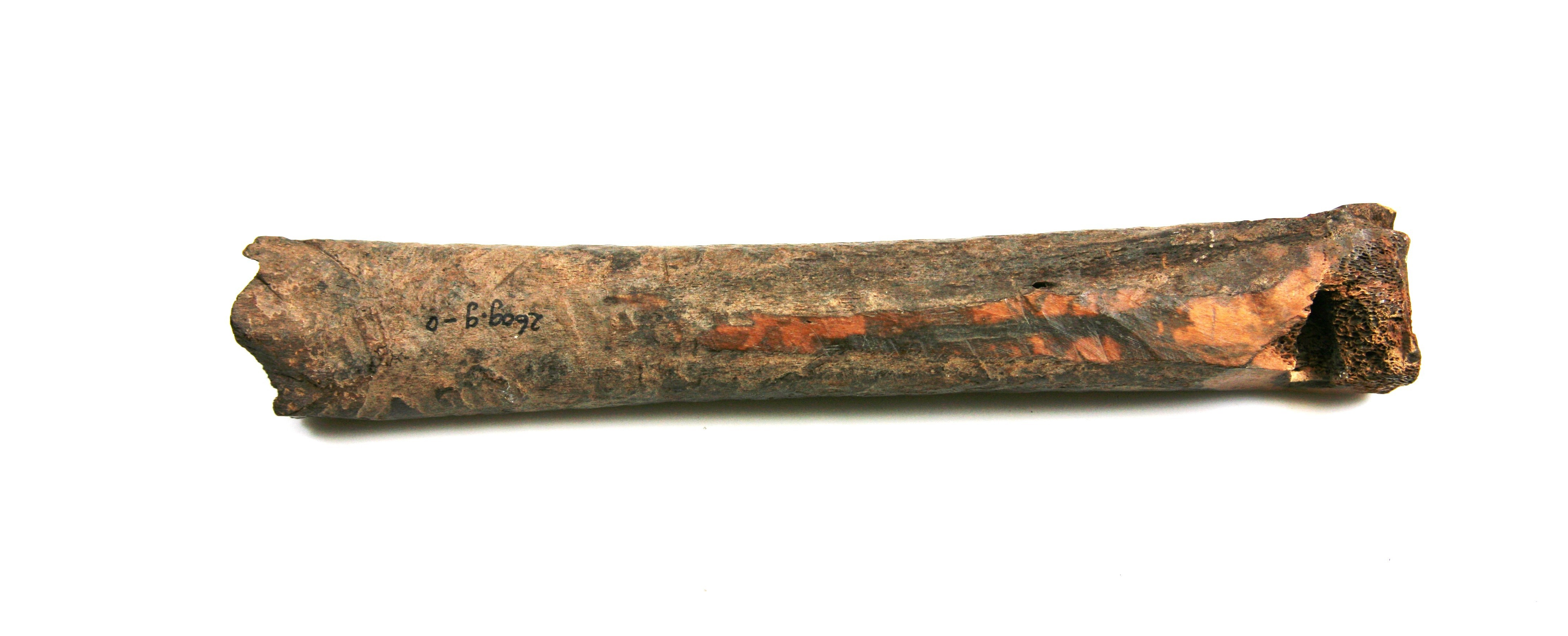 Nog een foto van  glis