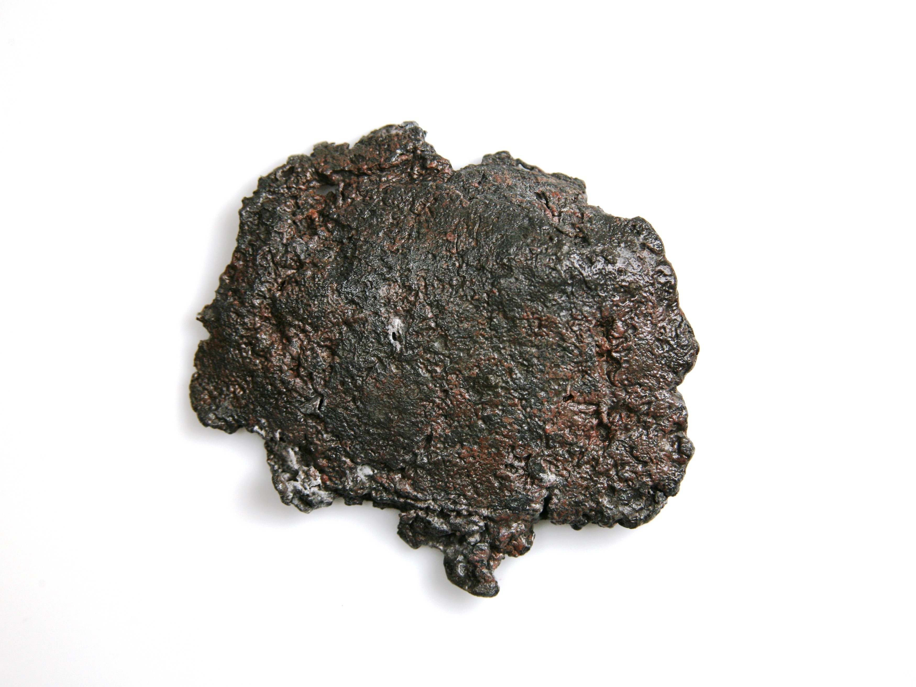 Nog een foto van  Schijf