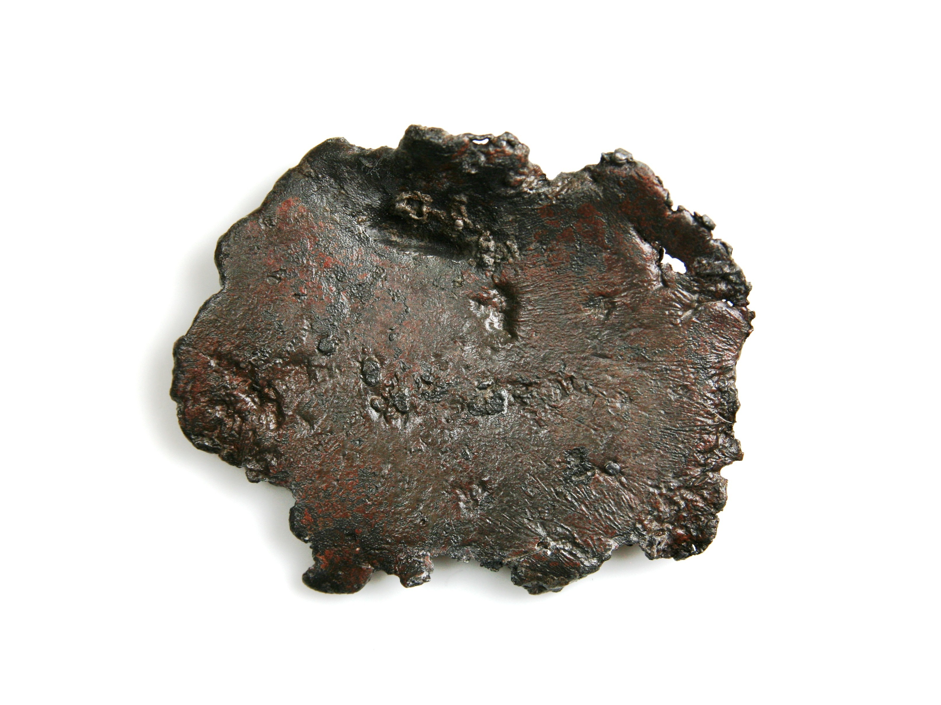 Nog een foto van  Schijf