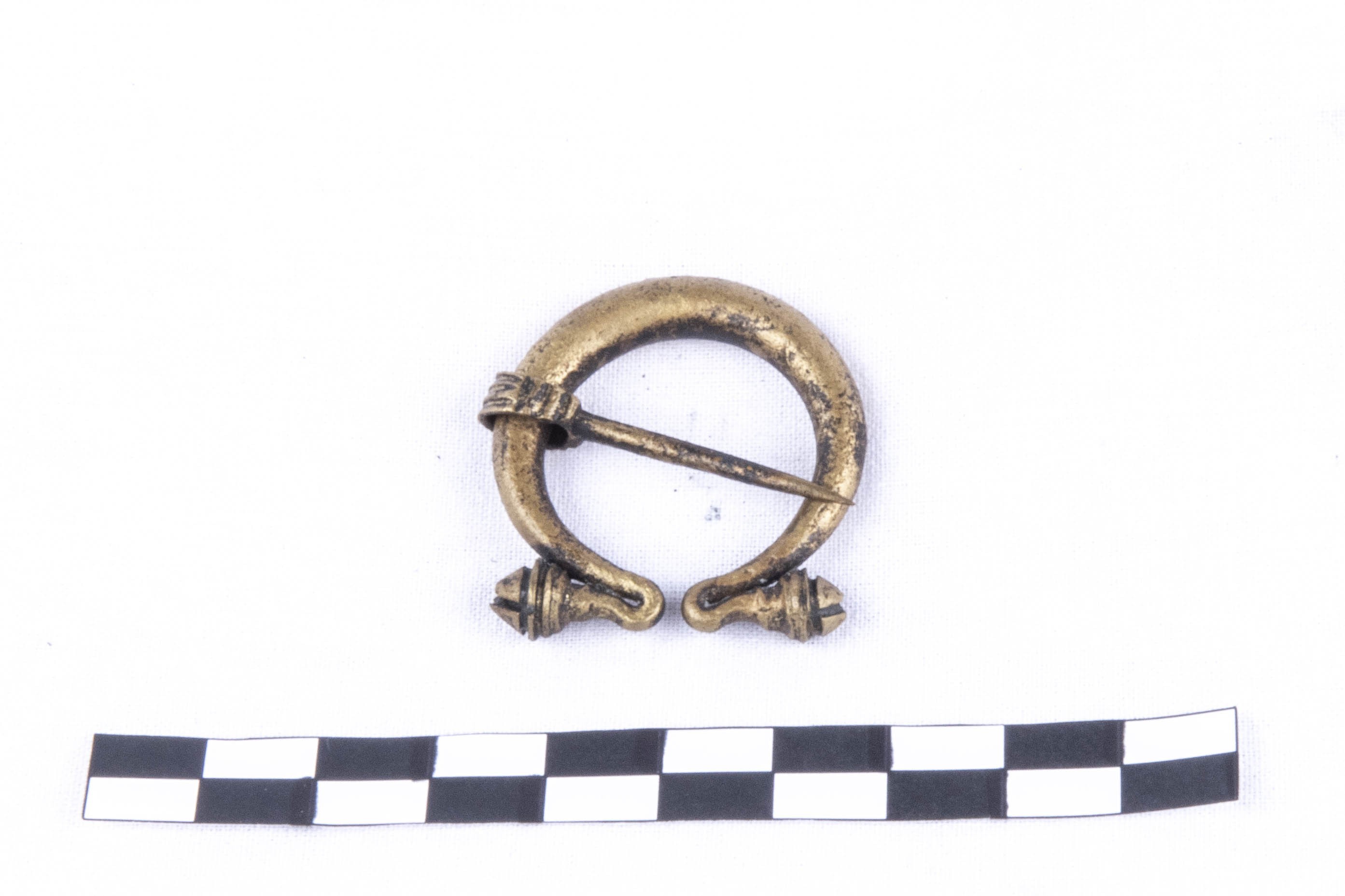 Foto van omegafibula