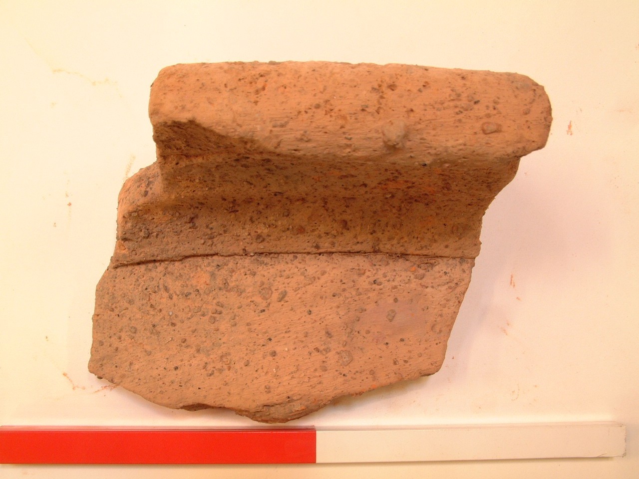 Foto van dolium:groot formaat (ruwwandig)