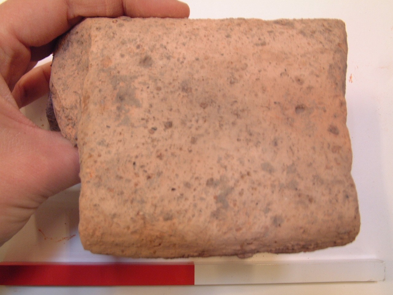 Nog een foto van  dolium:groot formaat (ruwwandig)