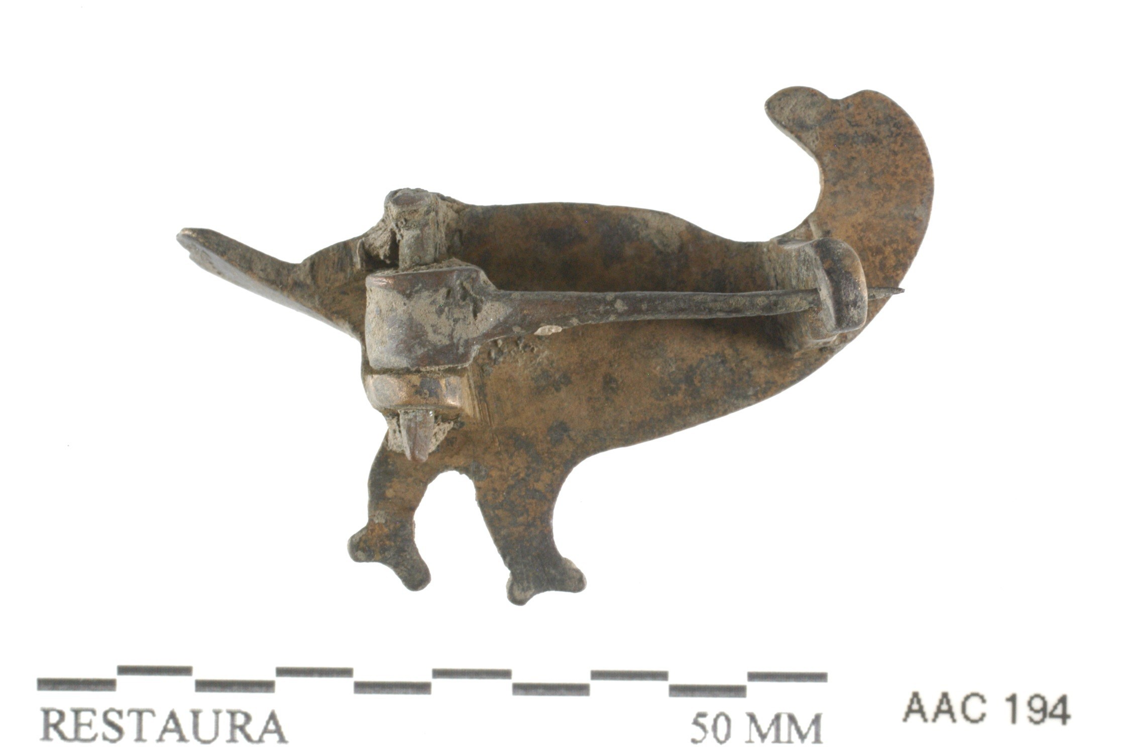 Nog een foto van  vogelfibula