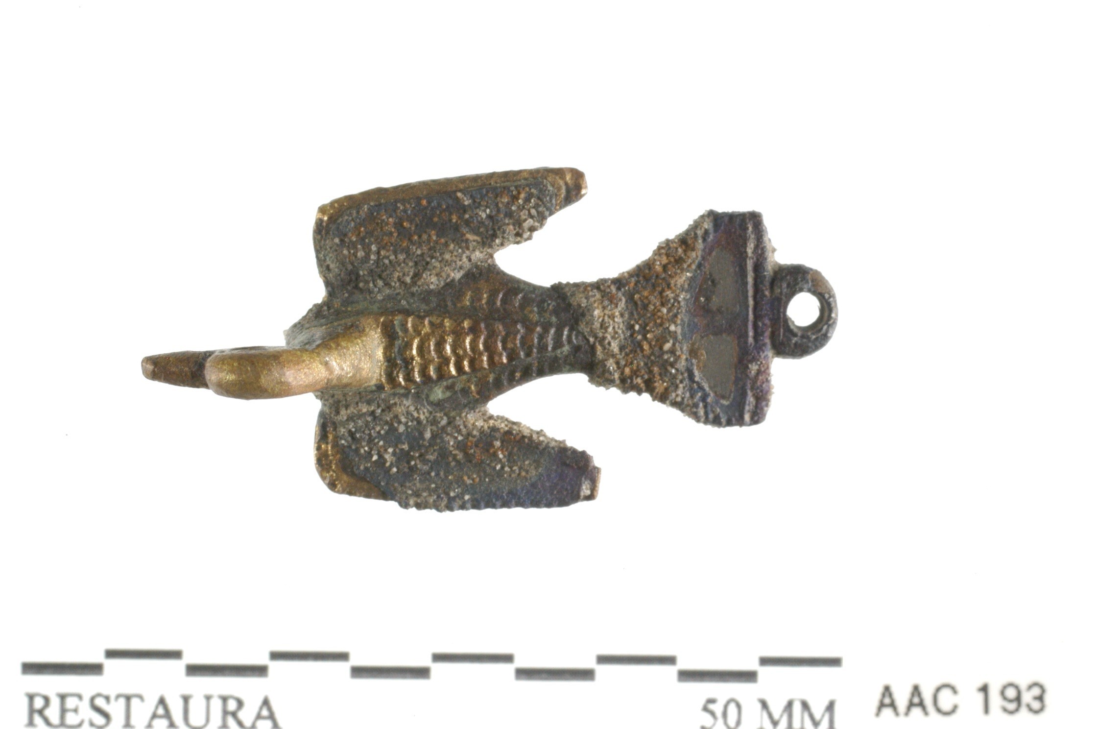 Foto van vogelfibula