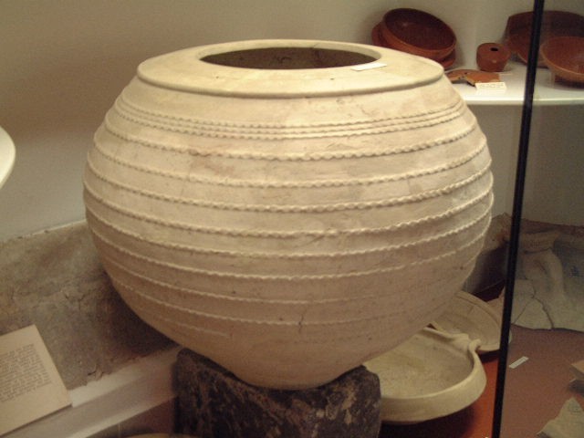 Foto van dolium:groot formaat (ruwwandig)