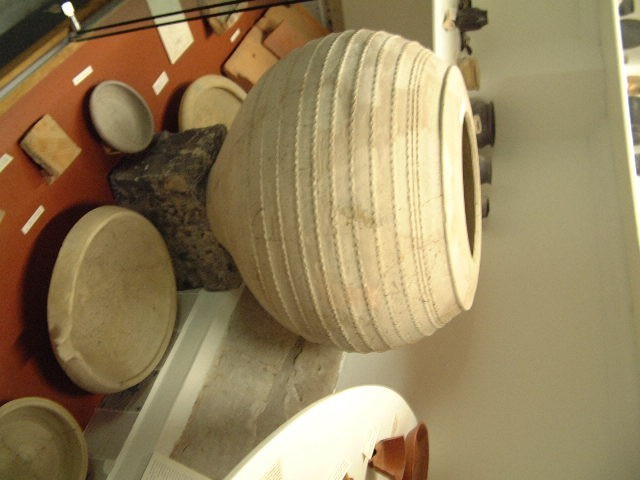 Nog een foto van  dolium:groot formaat (ruwwandig)