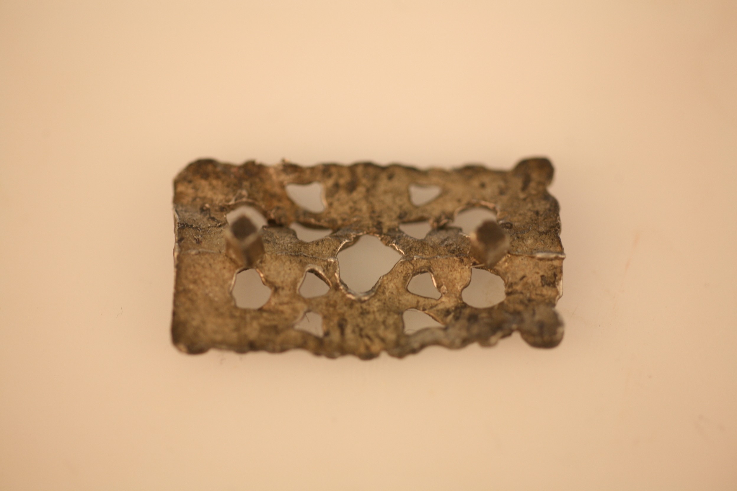 Nog een foto van  Beslag