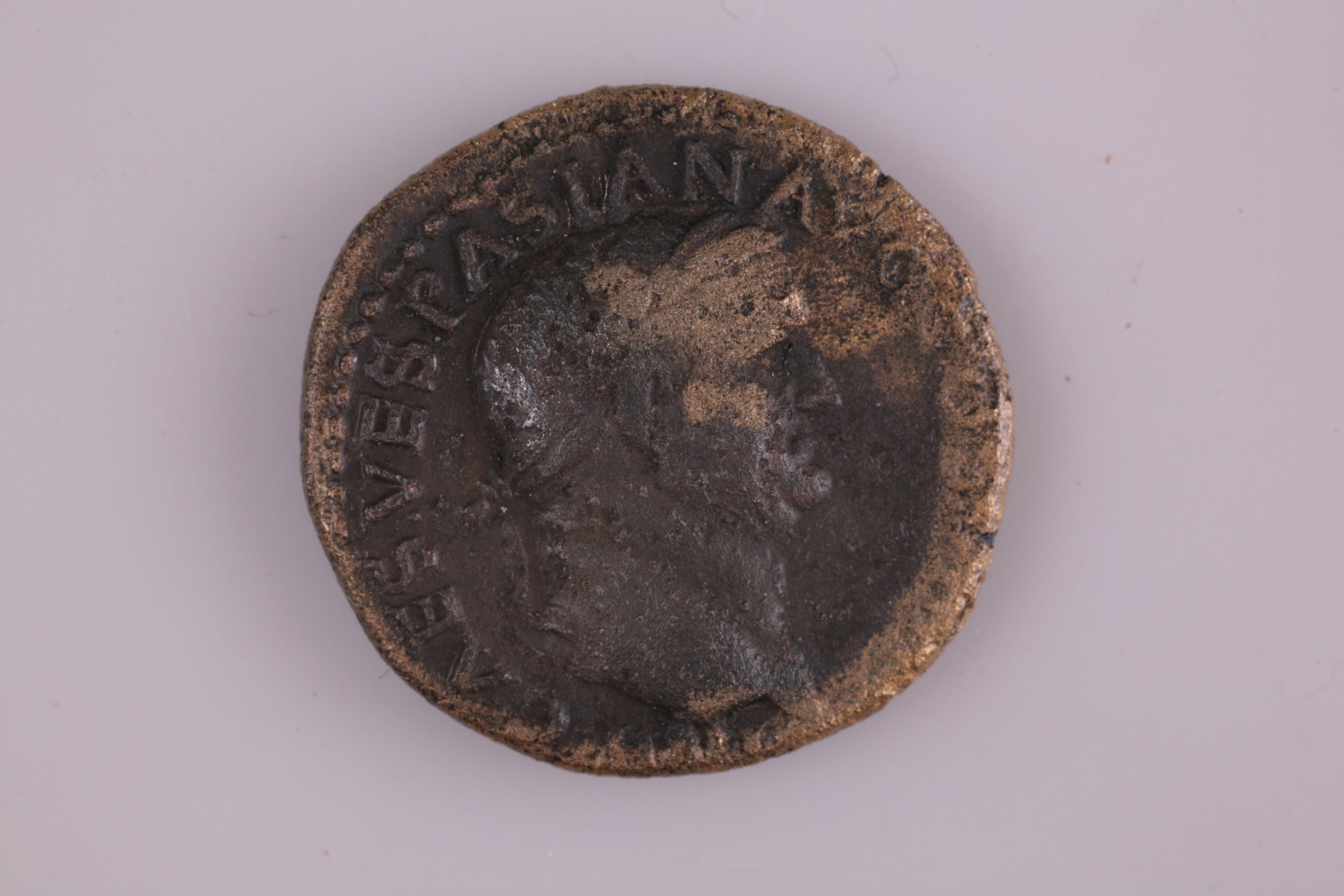 Foto van dupondius
