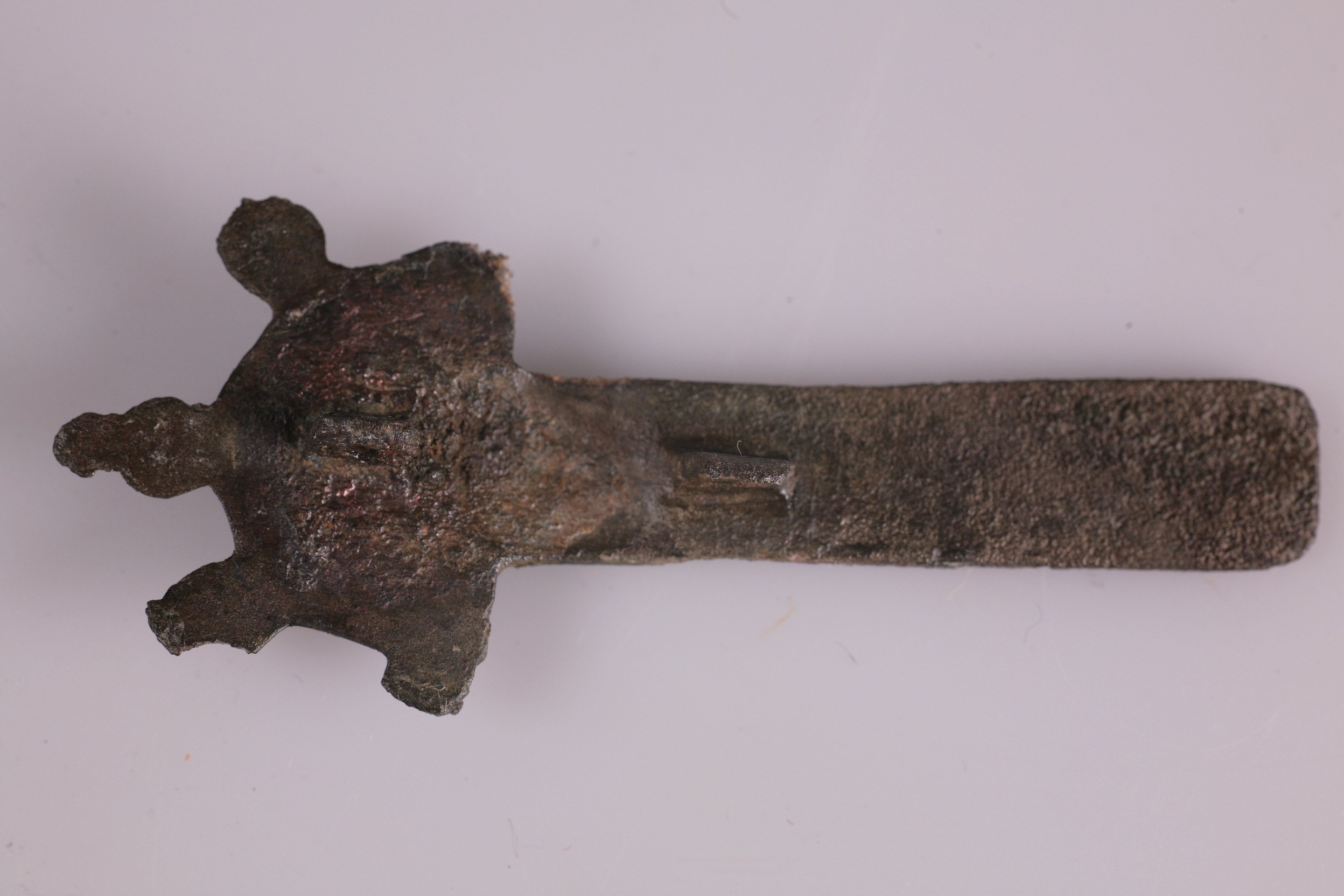 Nog een foto van  Beugelfibula