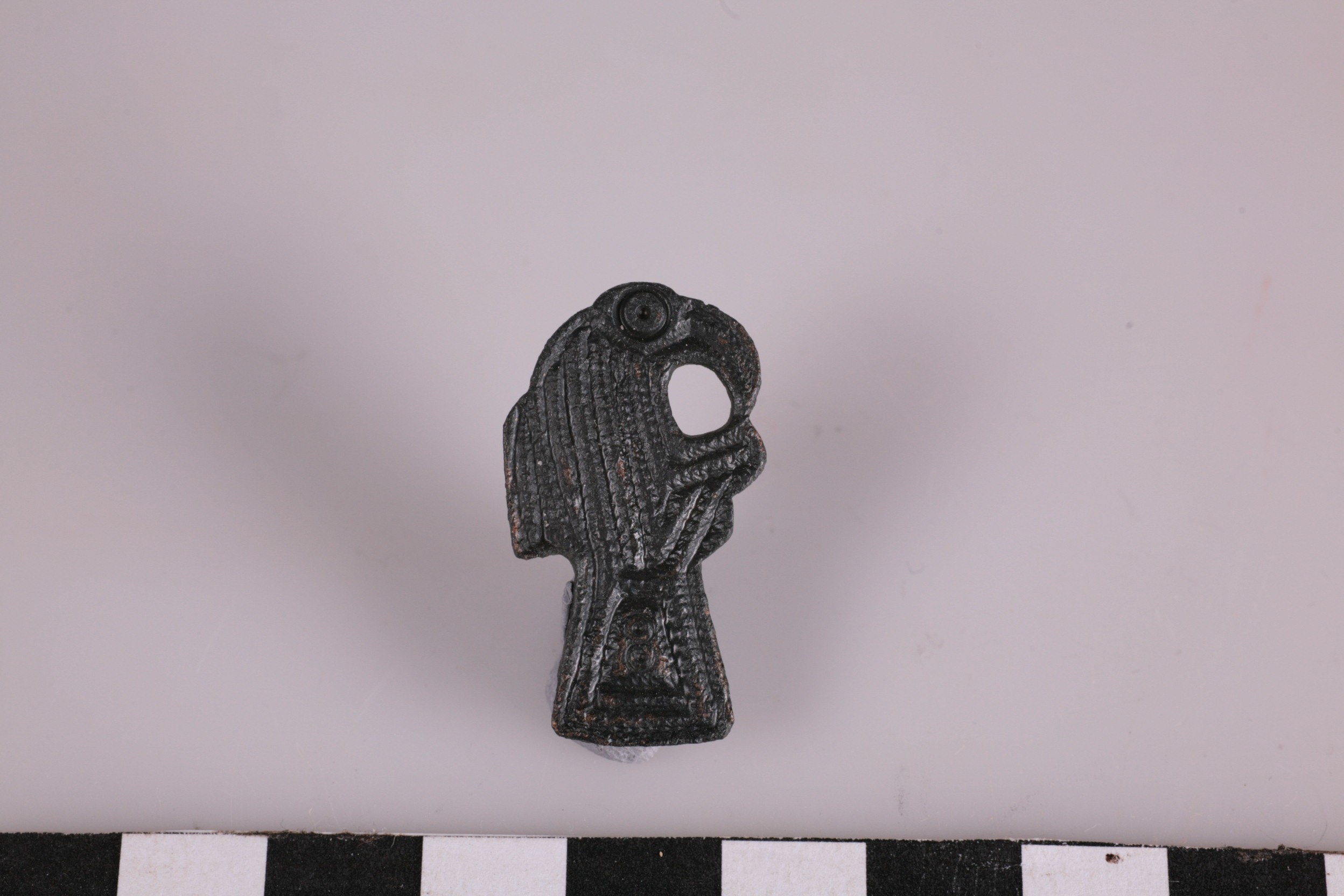 Foto van vogelfibula