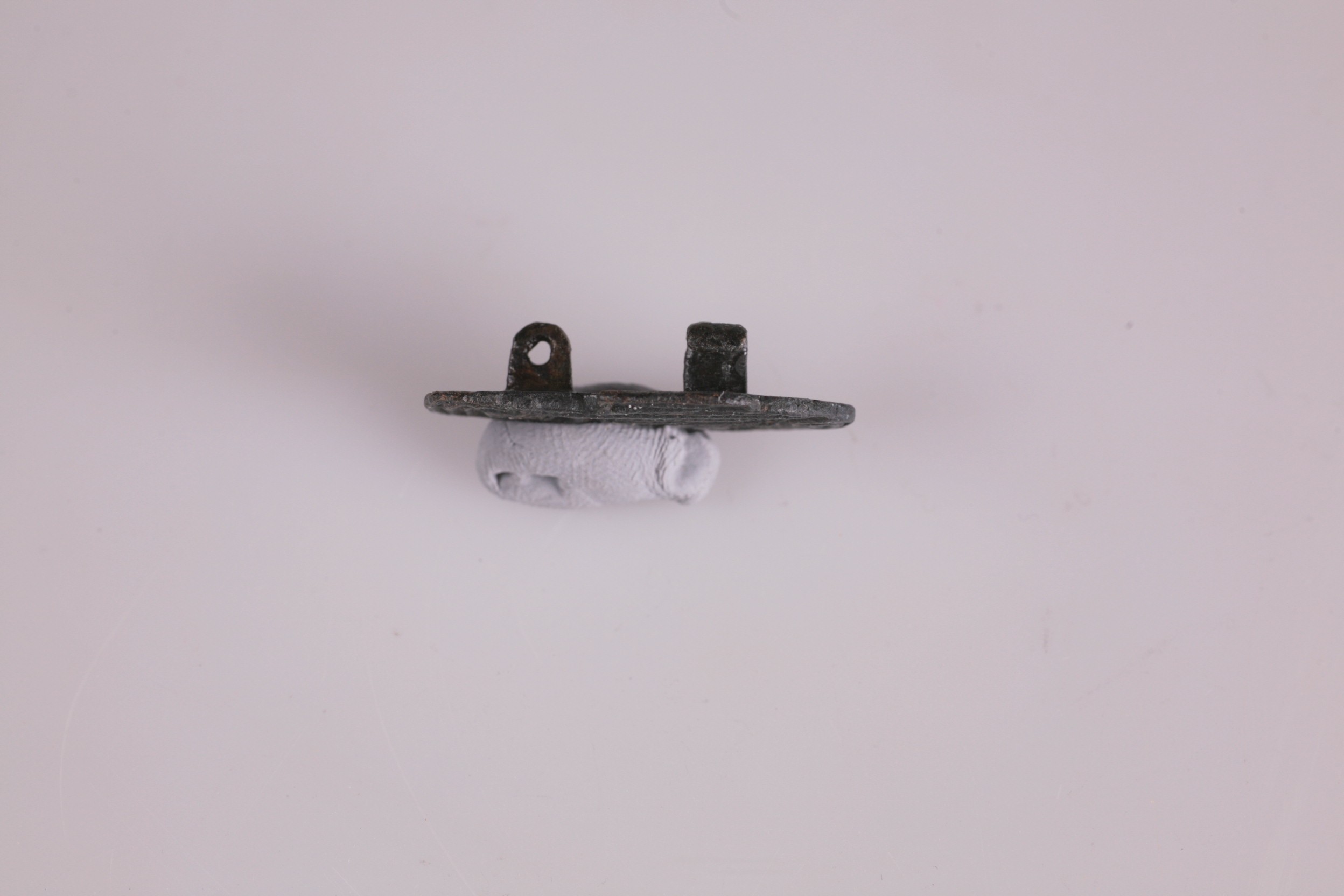 Nog een foto van  vogelfibula