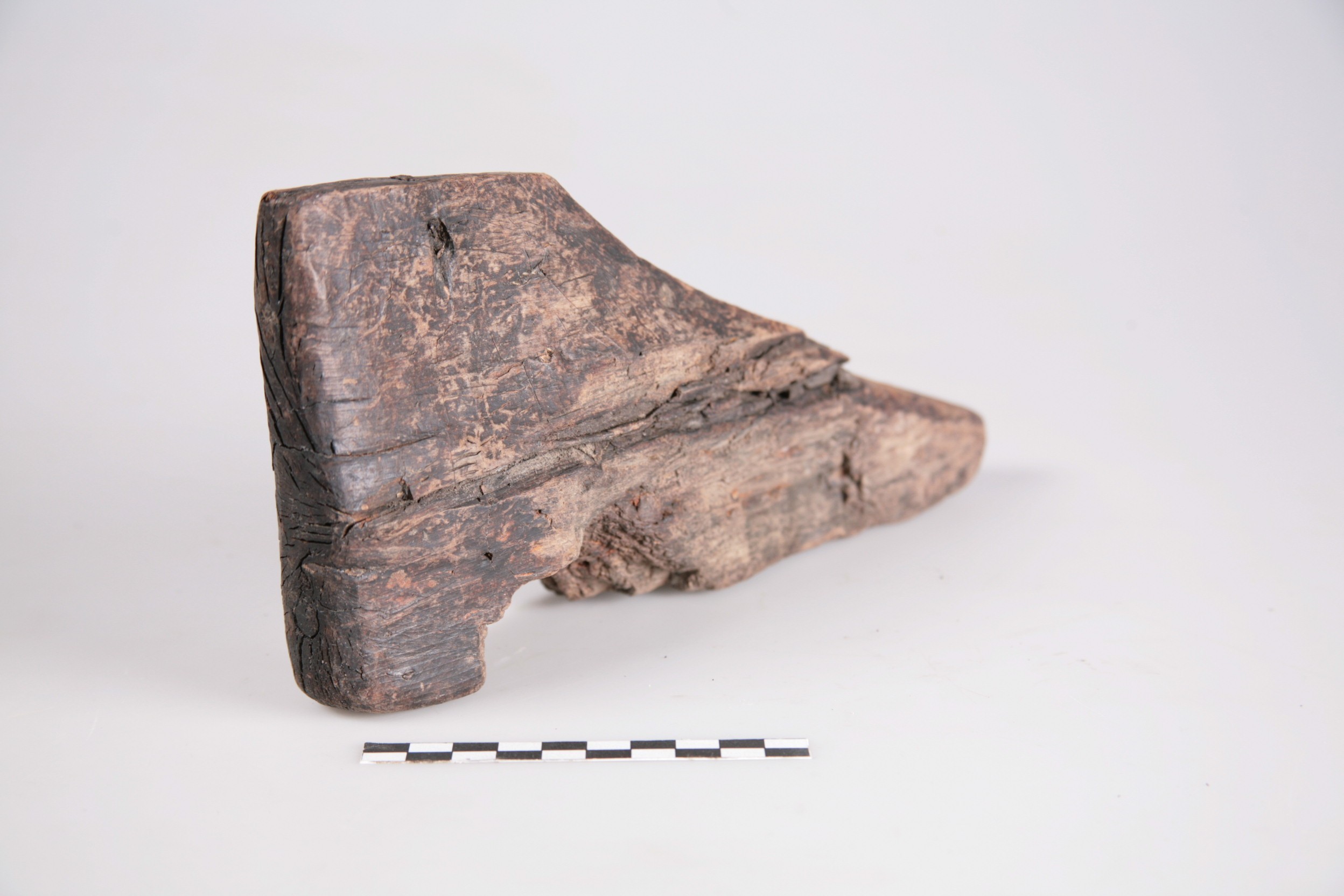 Nog een foto van  Schoenleest