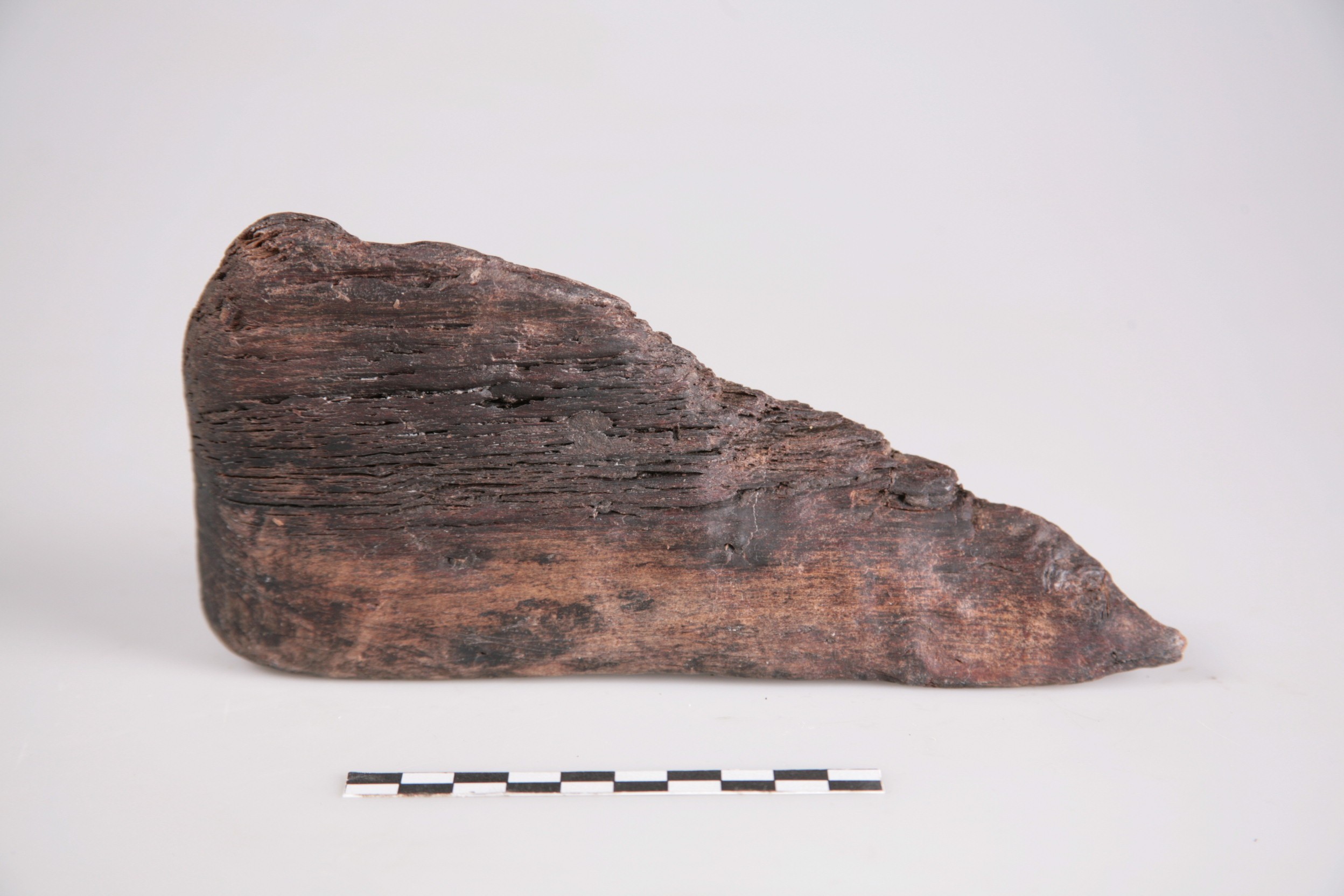 Nog een foto van  Schoenleest