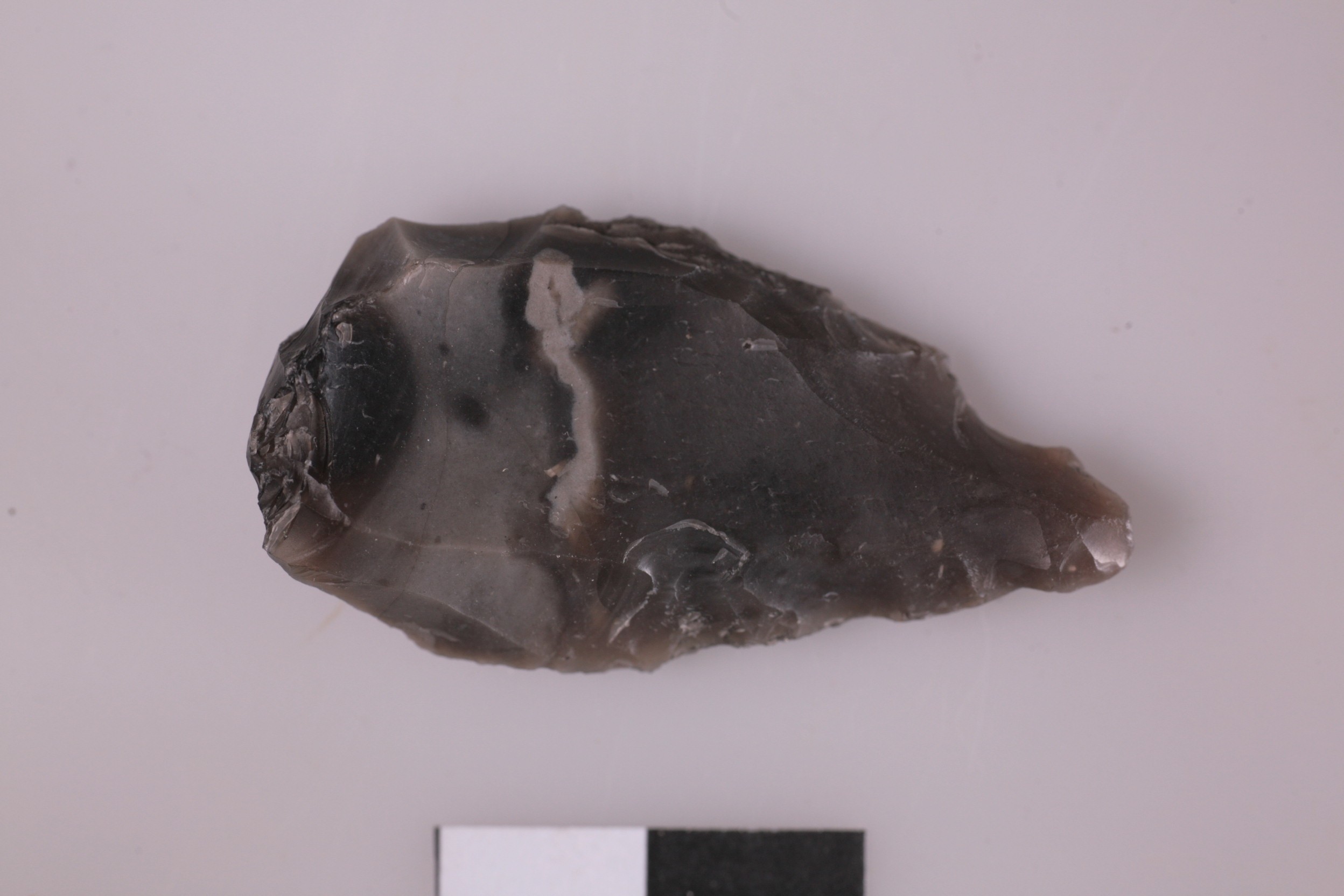 Nog een foto van  Spits