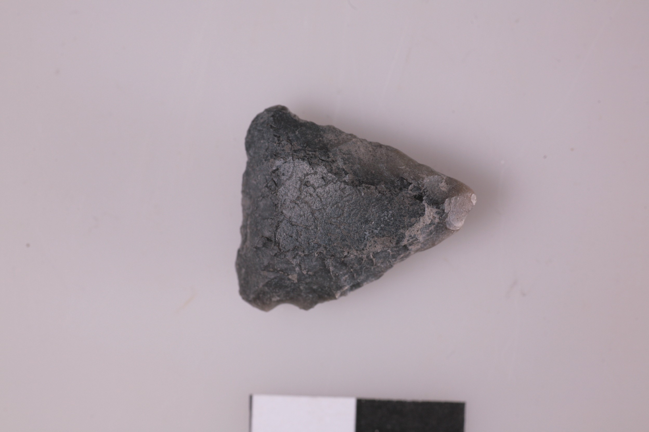 Nog een foto van  Spits