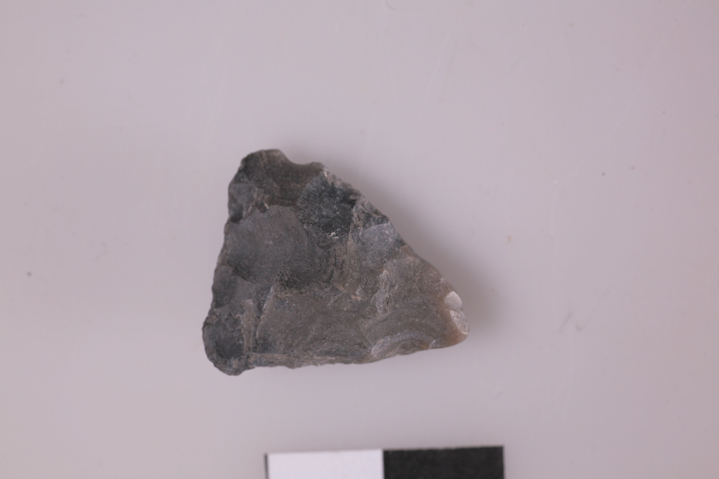 Nog een foto van  Spits