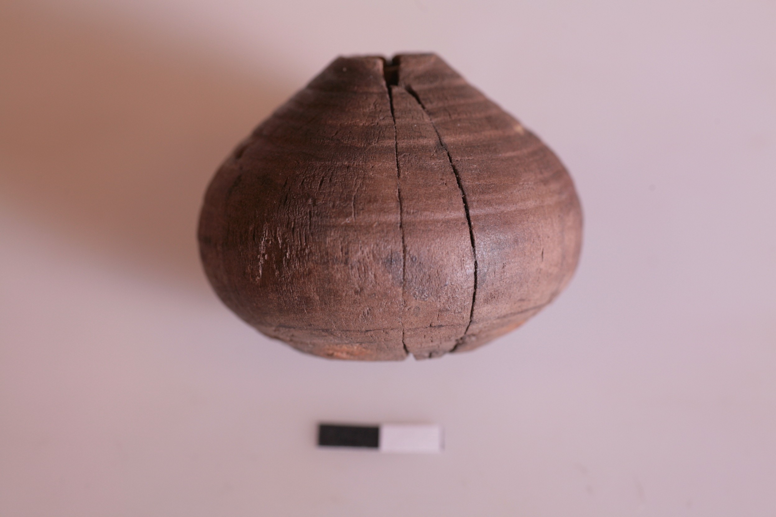 Nog een foto van  tol