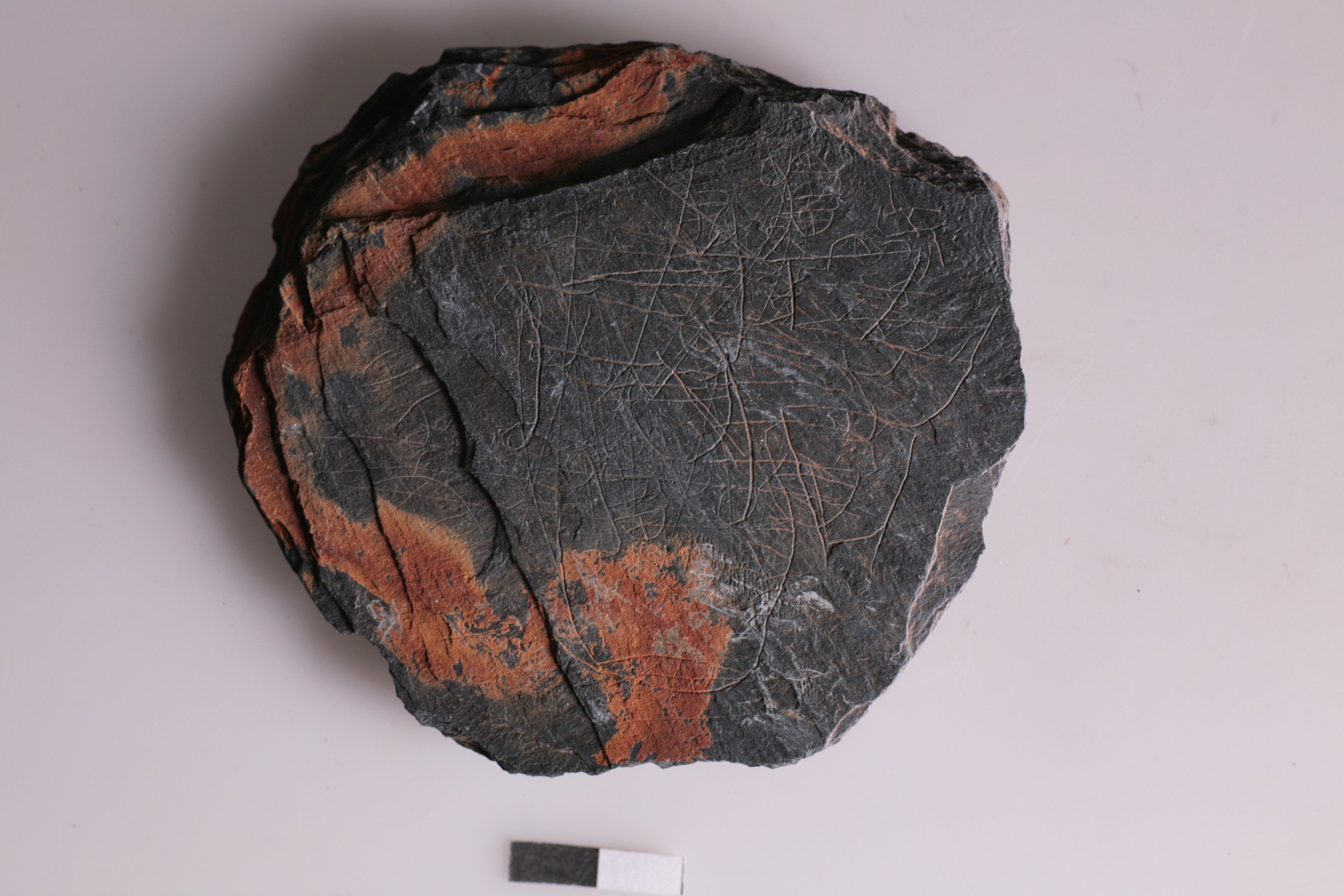 Nog een foto van  Daklei/leisteen dakbedekking