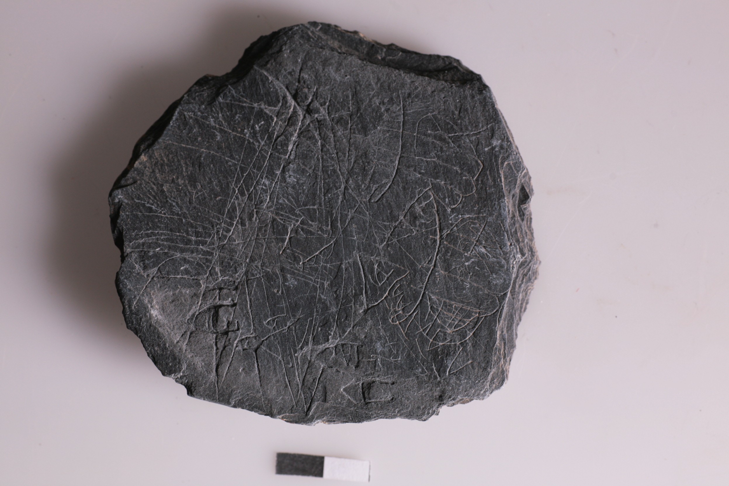 Nog een foto van  Daklei/leisteen dakbedekking